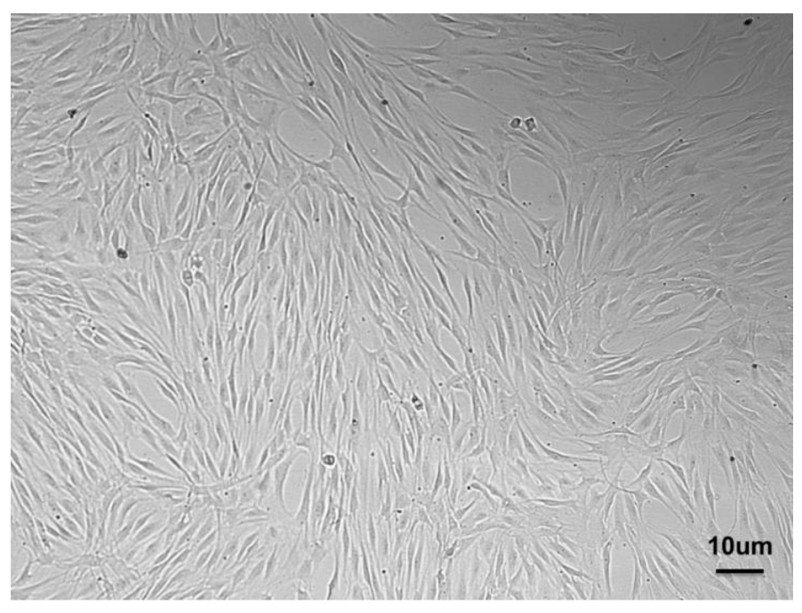 Nanomaterials 12 03878 g002