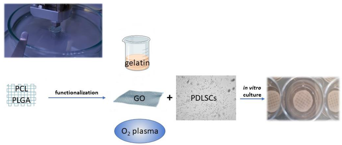 Nanomaterials 12 03878 g003