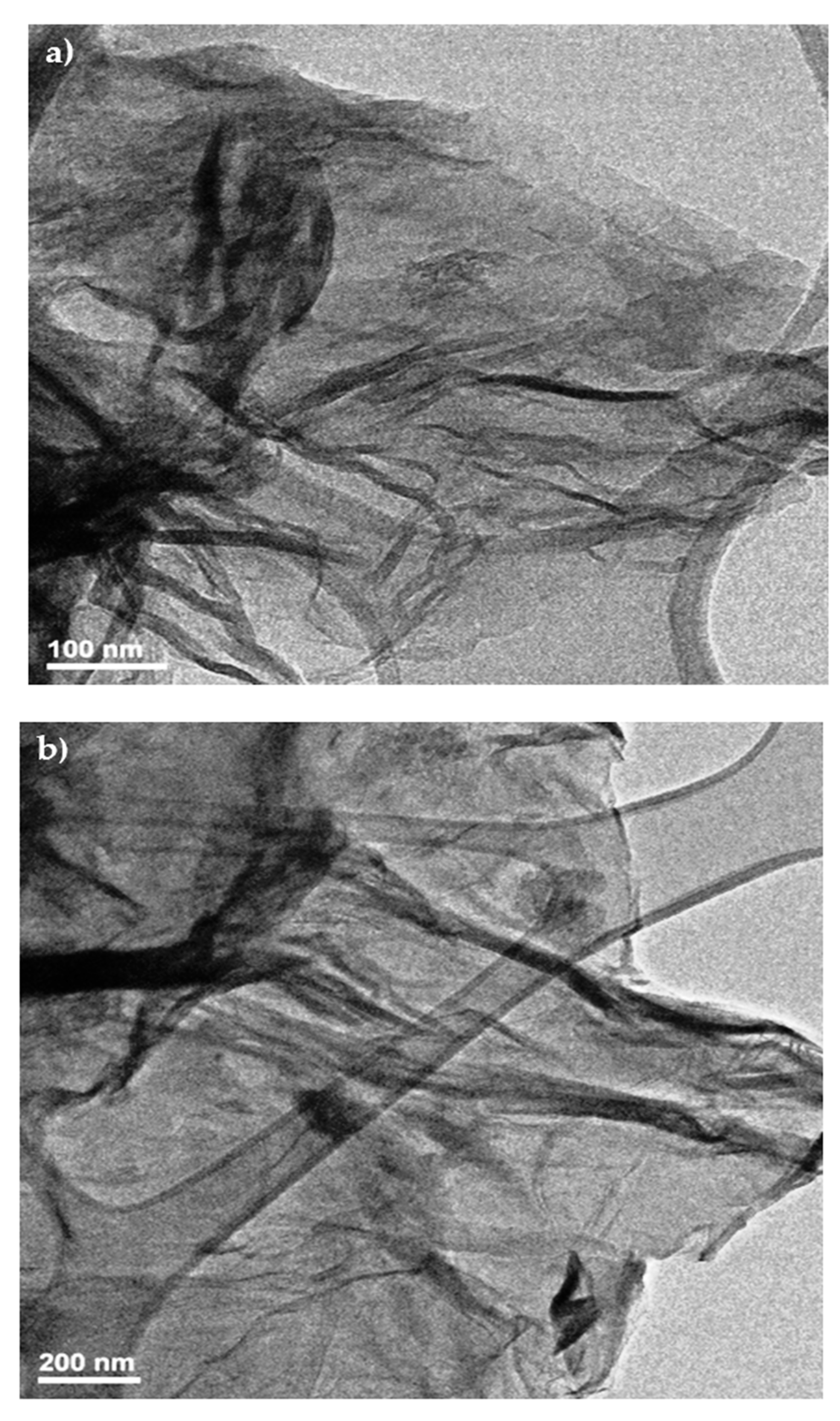 Nanomaterials 12 03882 g010