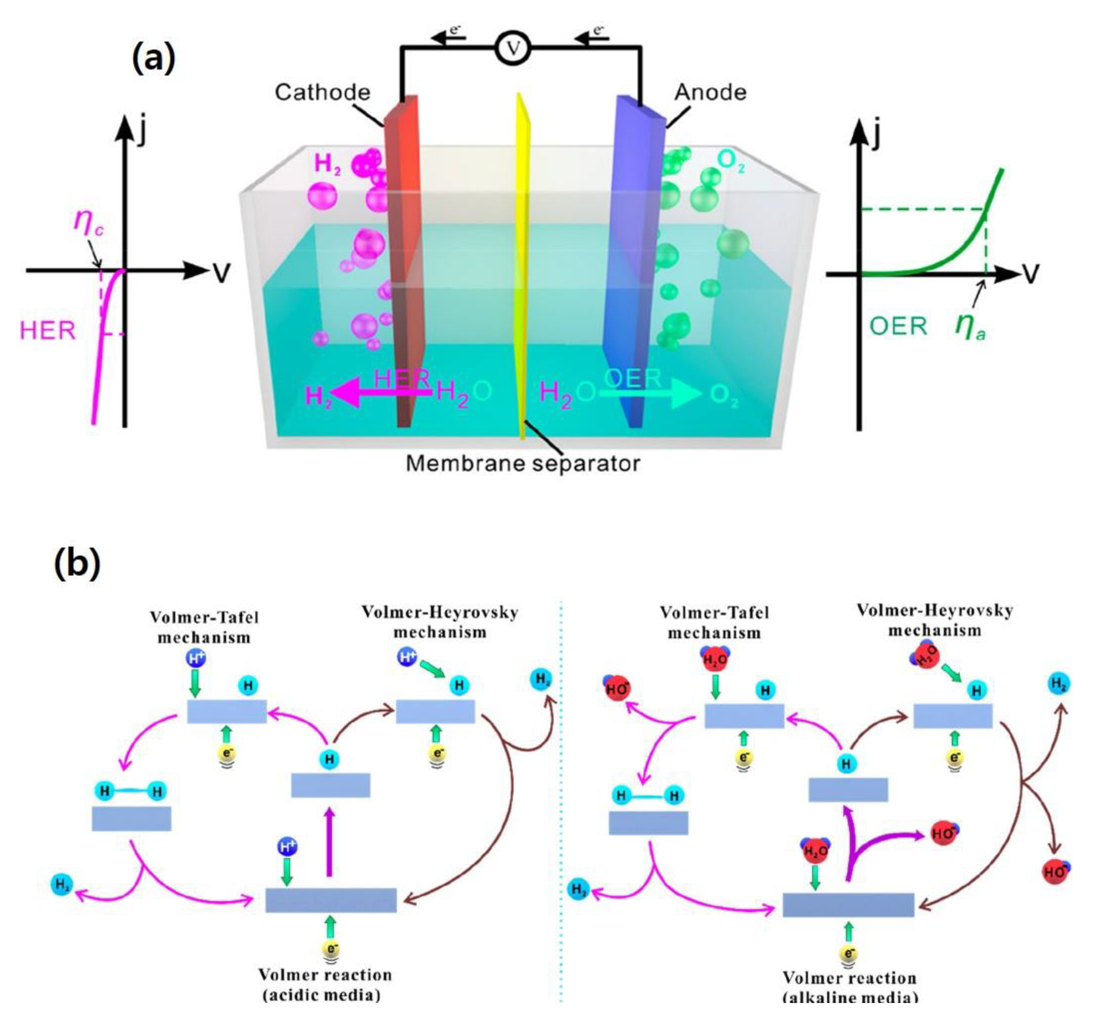 Nanomaterials 12 03884 g001