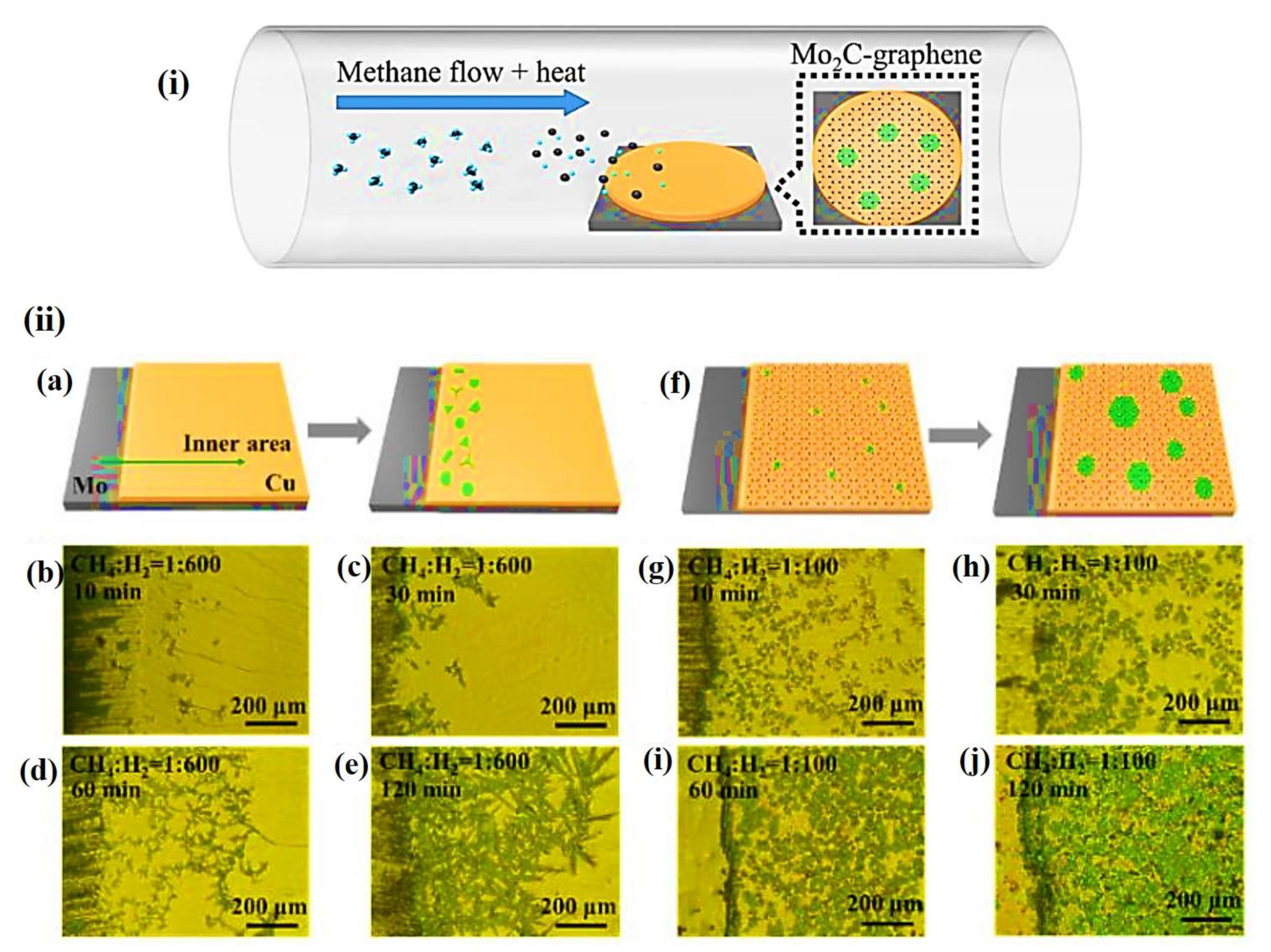 Nanomaterials 12 03884 g003