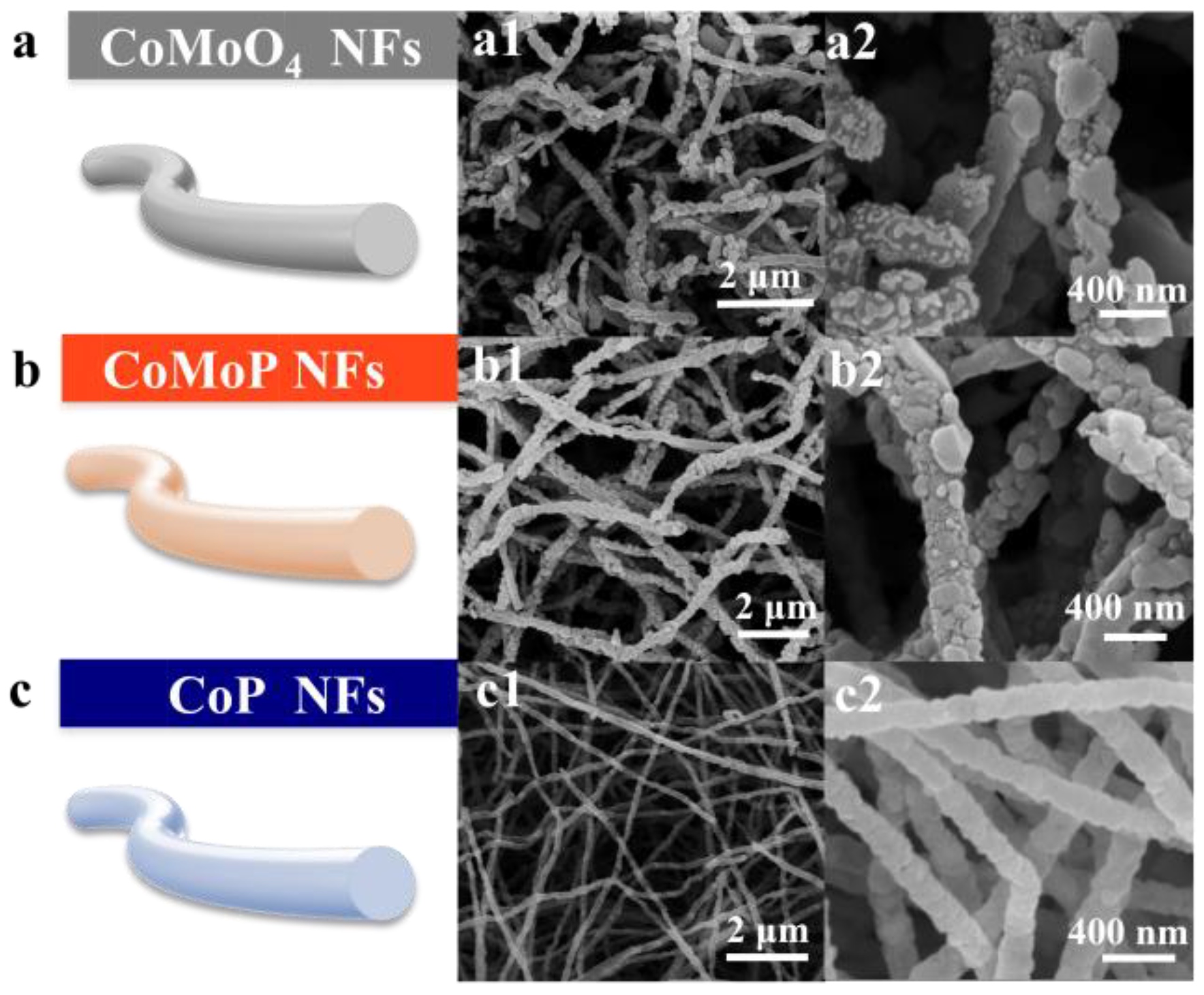 Nanomaterials 12 03886 g001