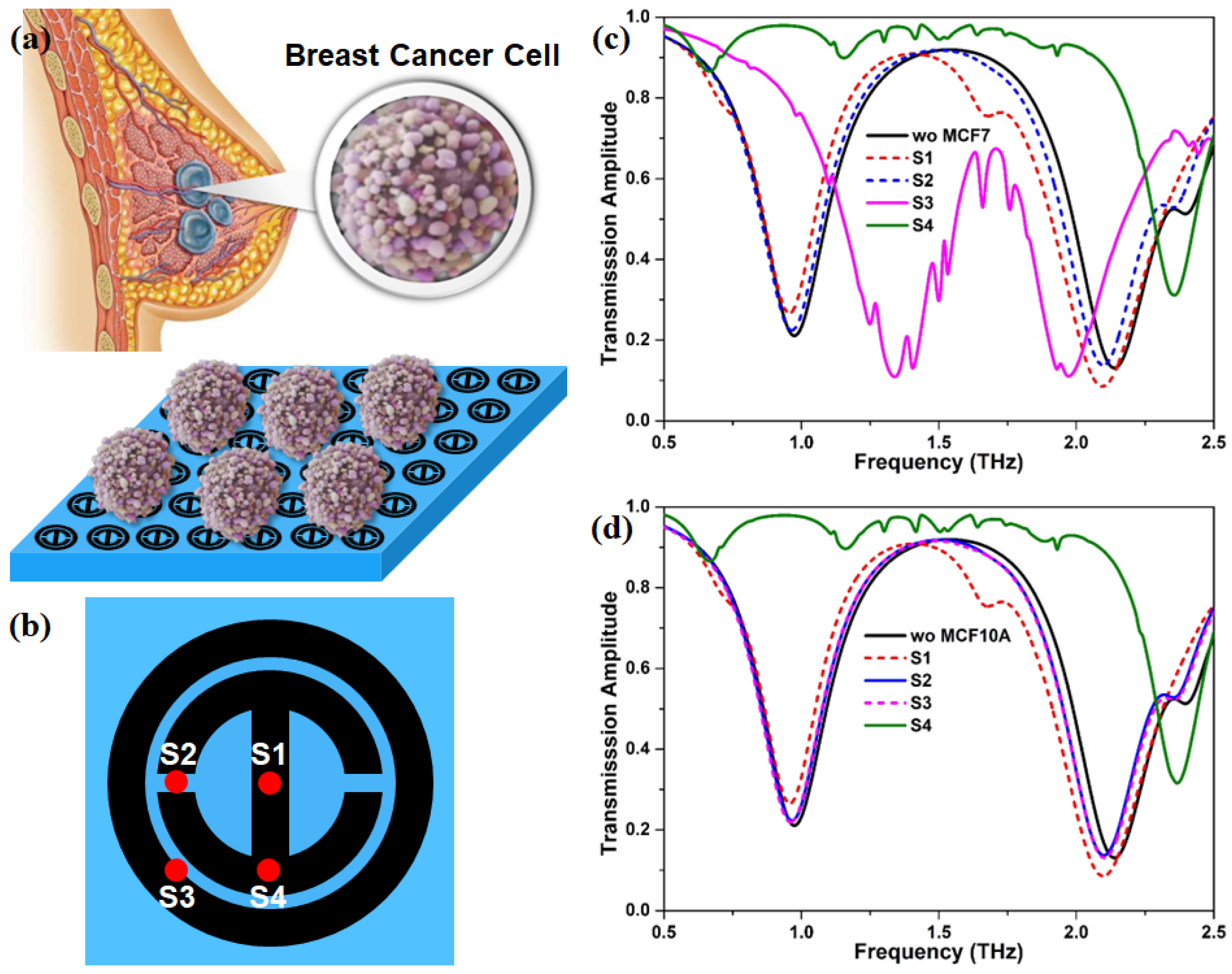 Nanomaterials 12 03889 g005