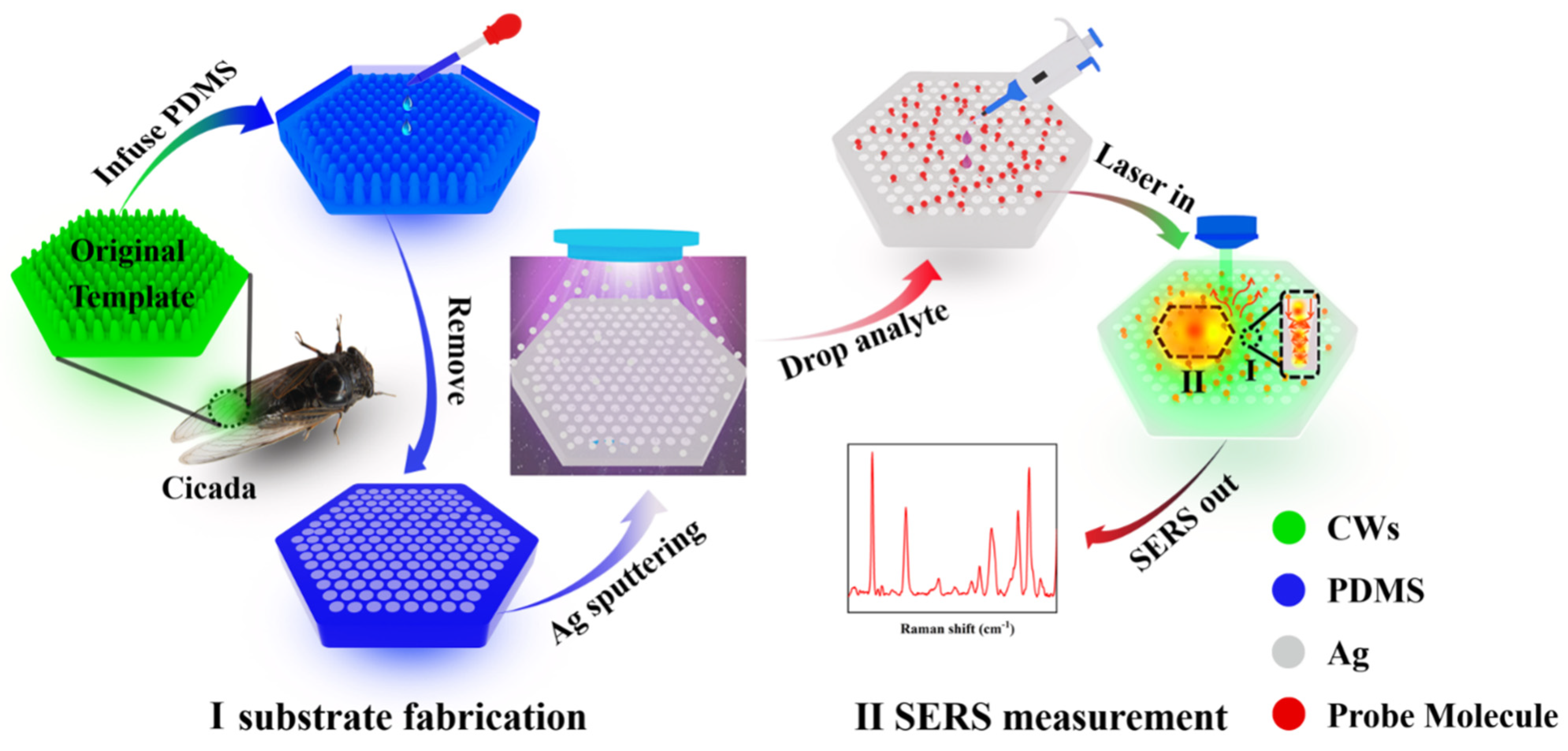 Nanomaterials 12 03894 g001