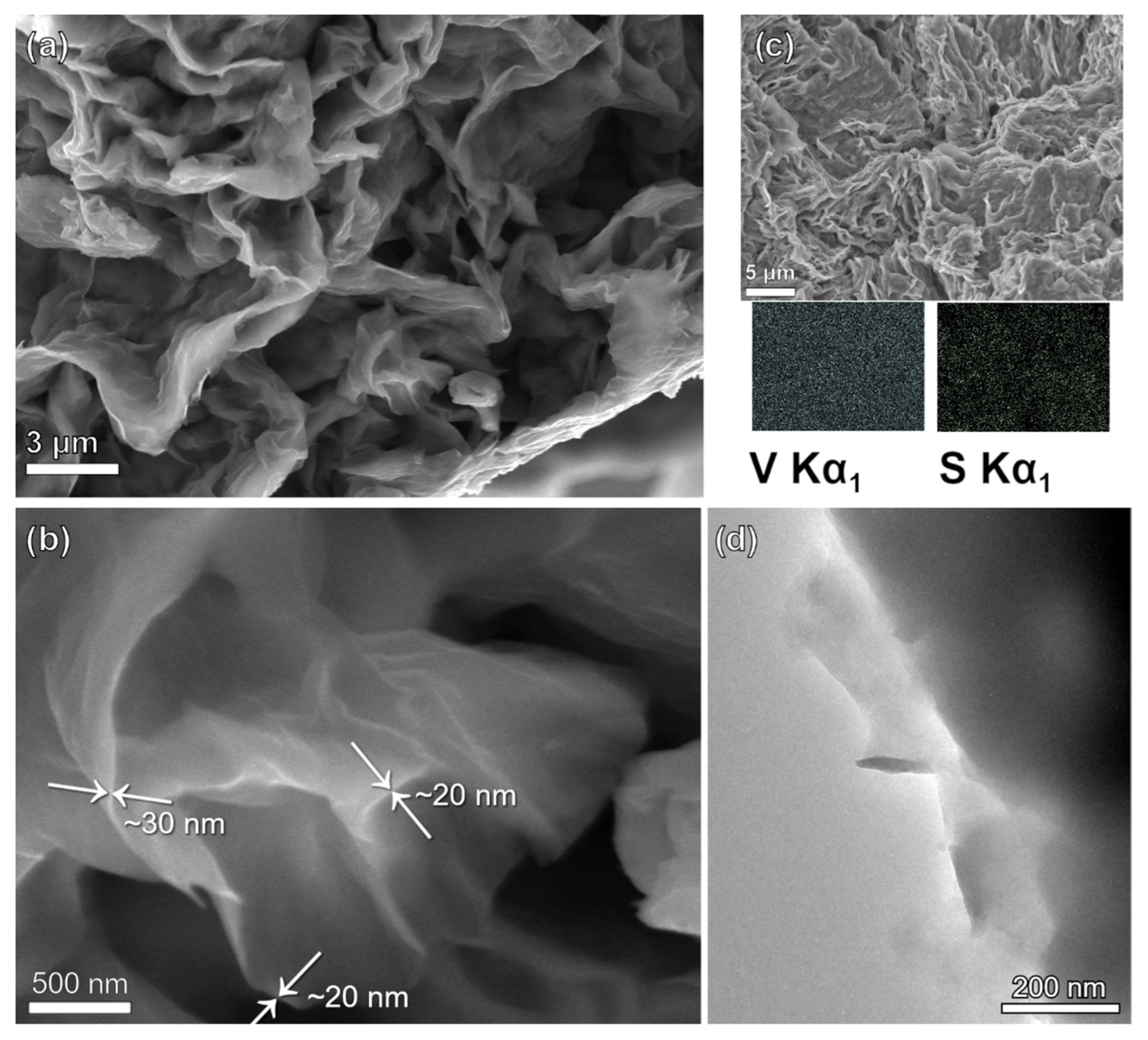 Nanomaterials 12 03896 g002