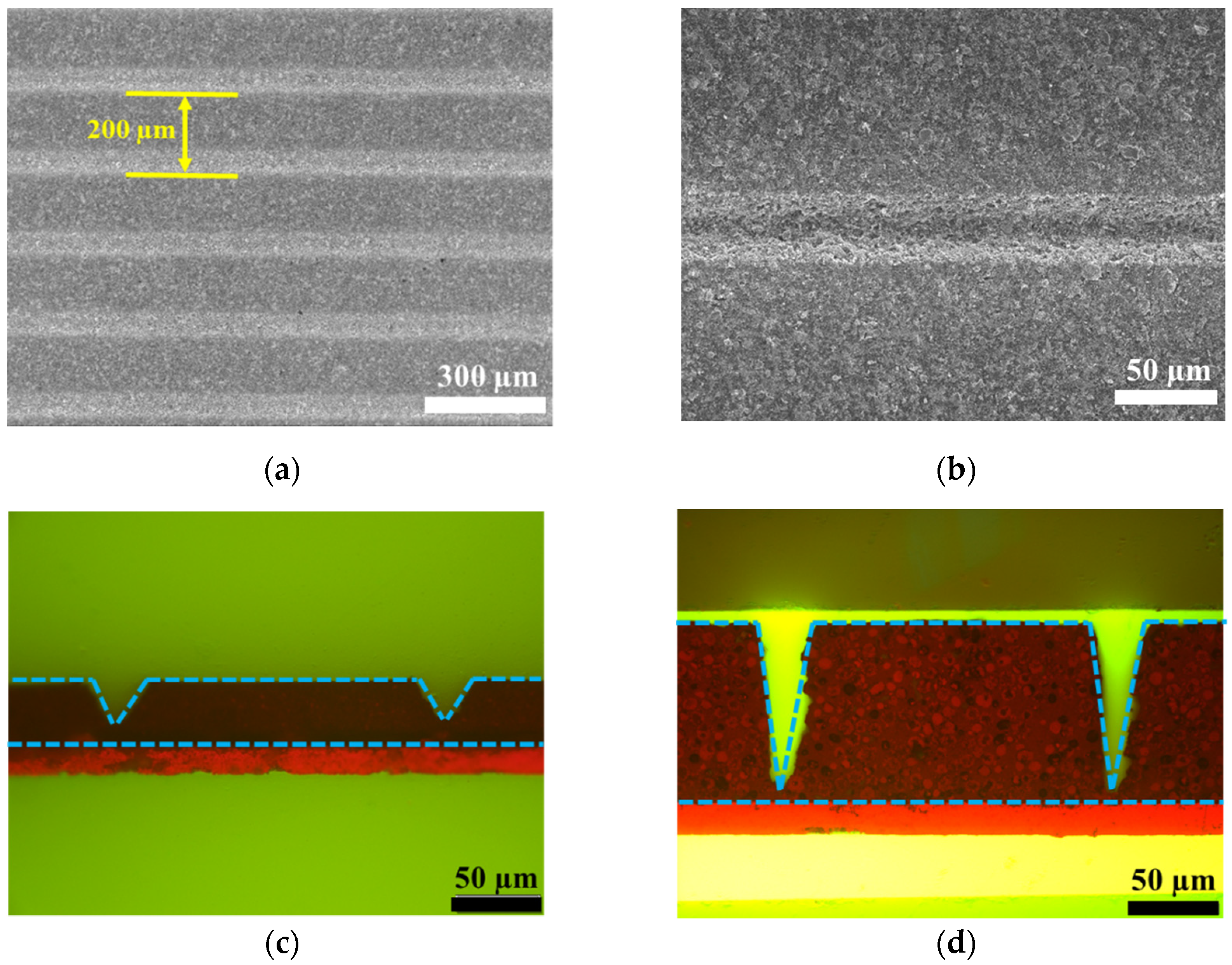 Nanomaterials 12 03897 g001