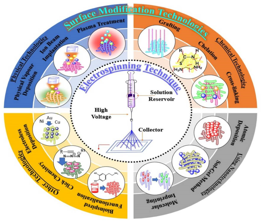 Nanomaterials 12 03899 g001