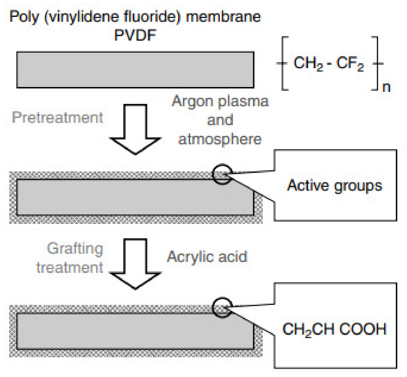 Nanomaterials 12 03899 g002