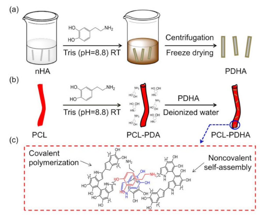 Nanomaterials 12 03899 g006