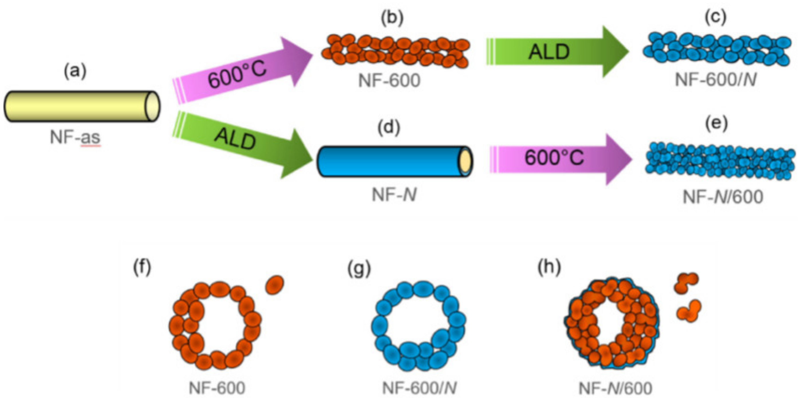 Nanomaterials 12 03899 g008