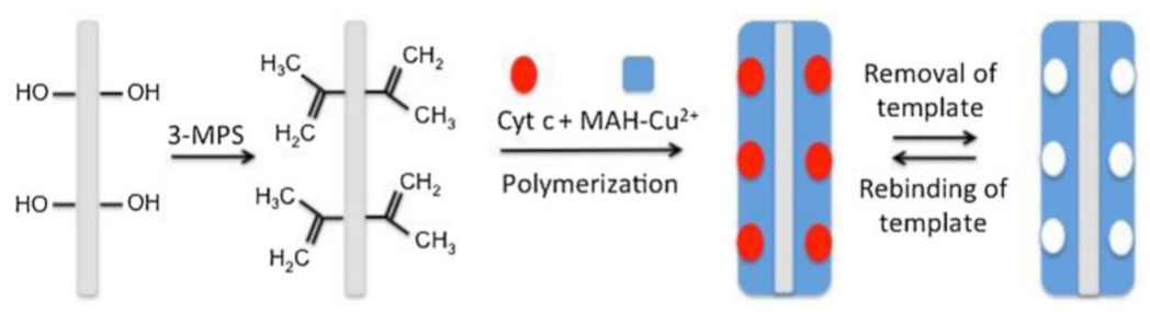 Nanomaterials 12 03899 g009