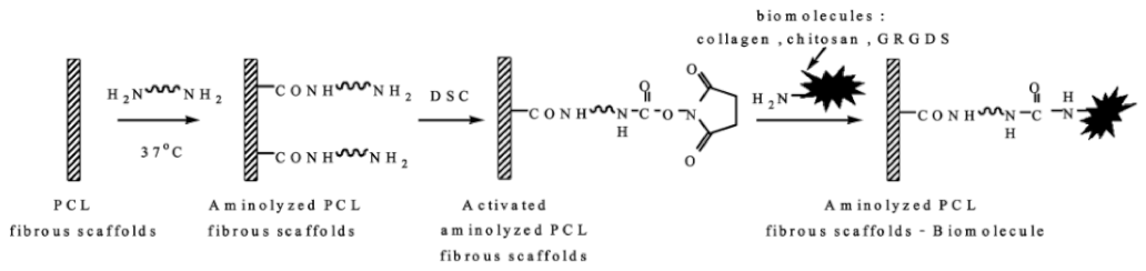 Nanomaterials 12 03899 g010