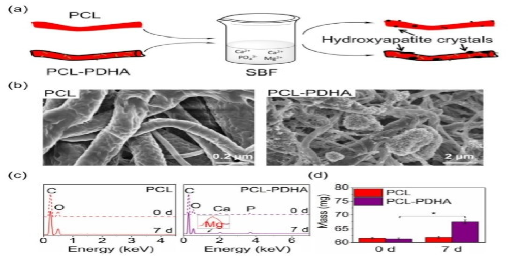 Nanomaterials 12 03899 g013