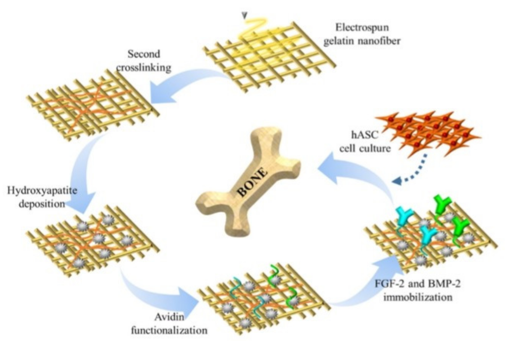 Nanomaterials 12 03899 g014
