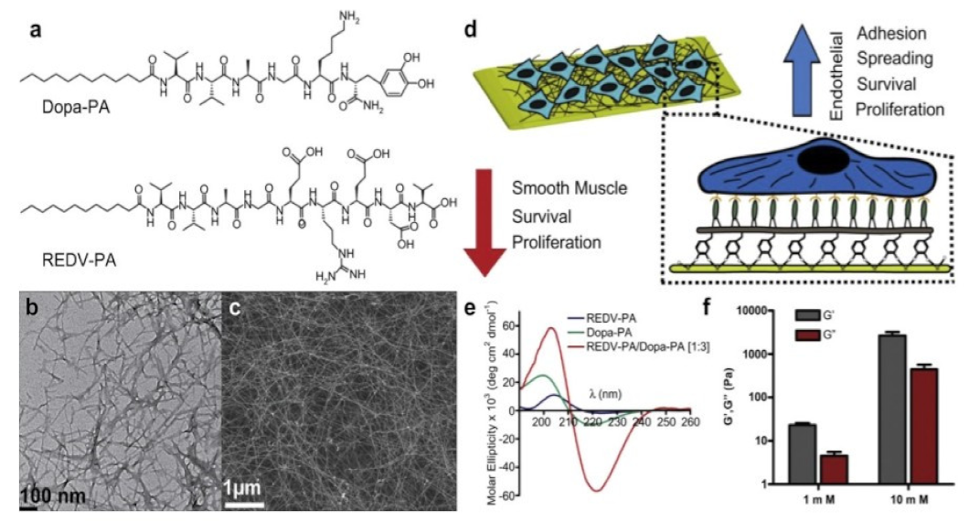 Nanomaterials 12 03899 g016
