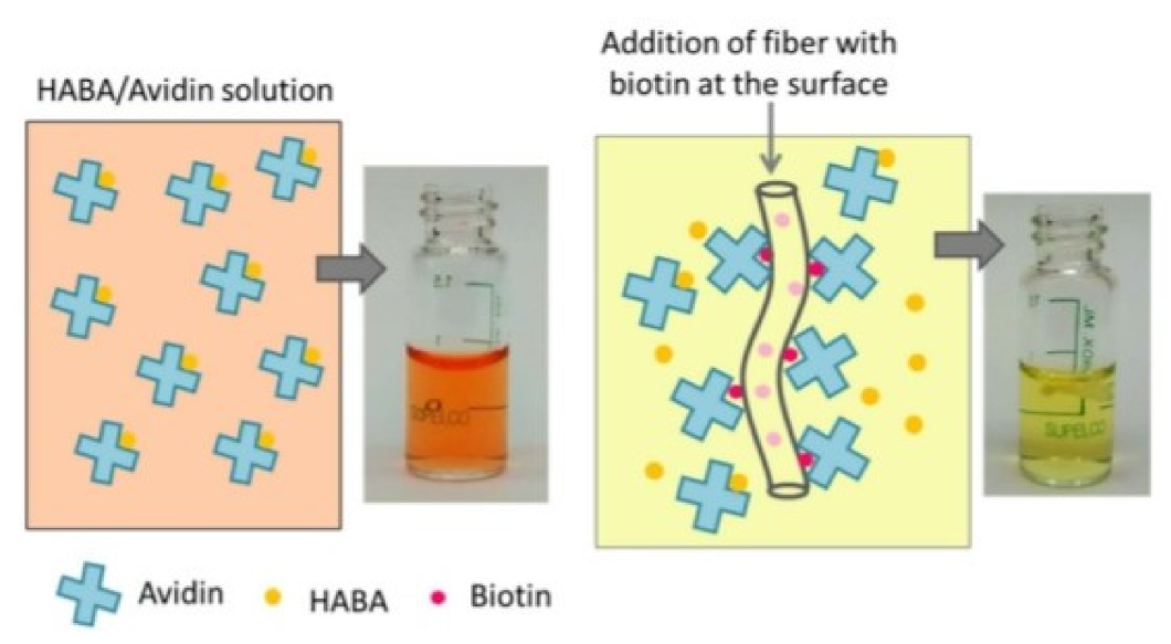 Nanomaterials 12 03899 g020