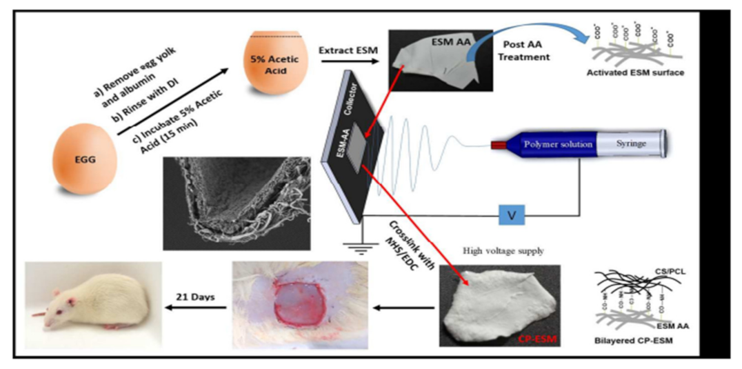 Nanomaterials 12 03899 g023