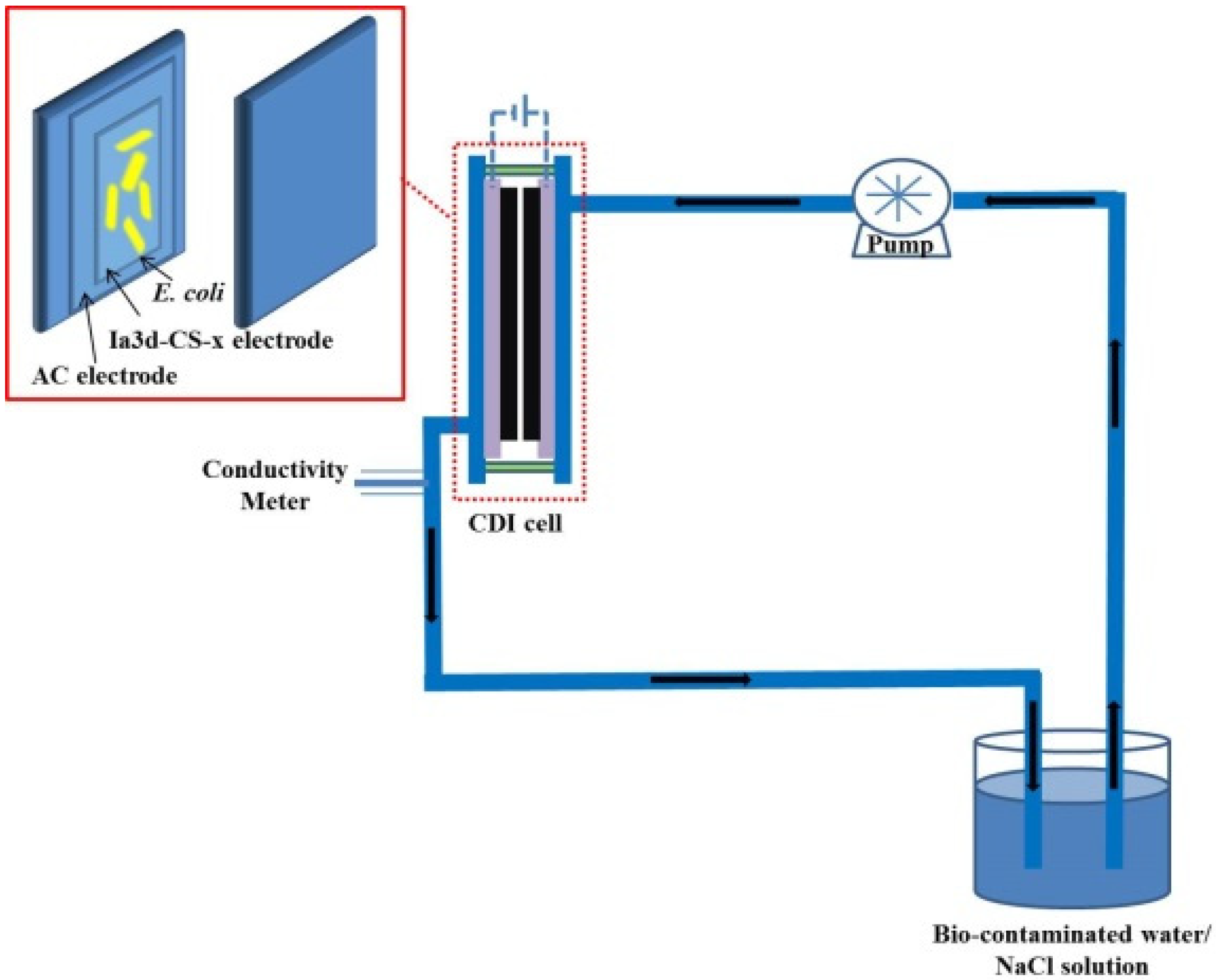 Nanomaterials 12 03901 g001