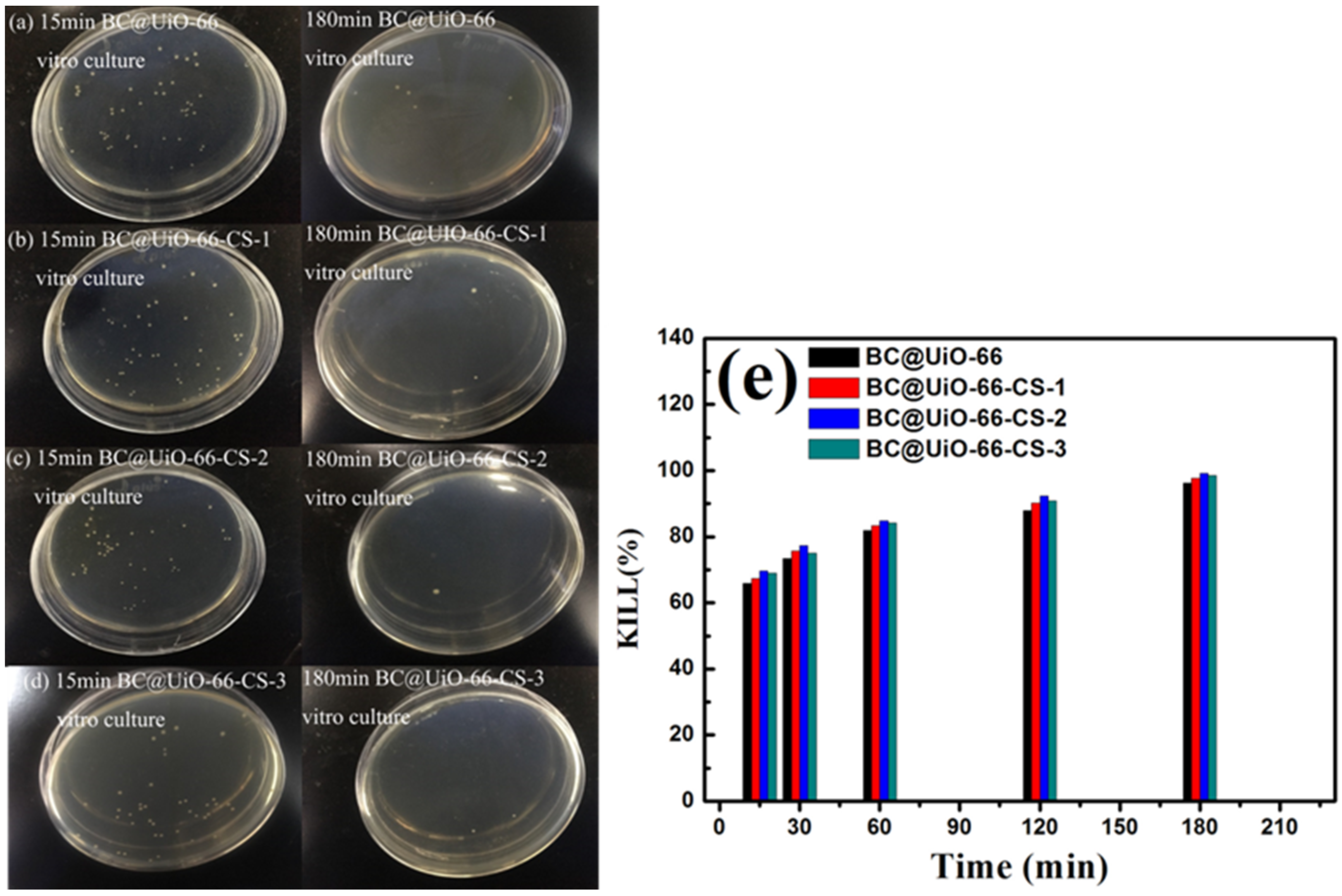 Nanomaterials 12 03901 g008