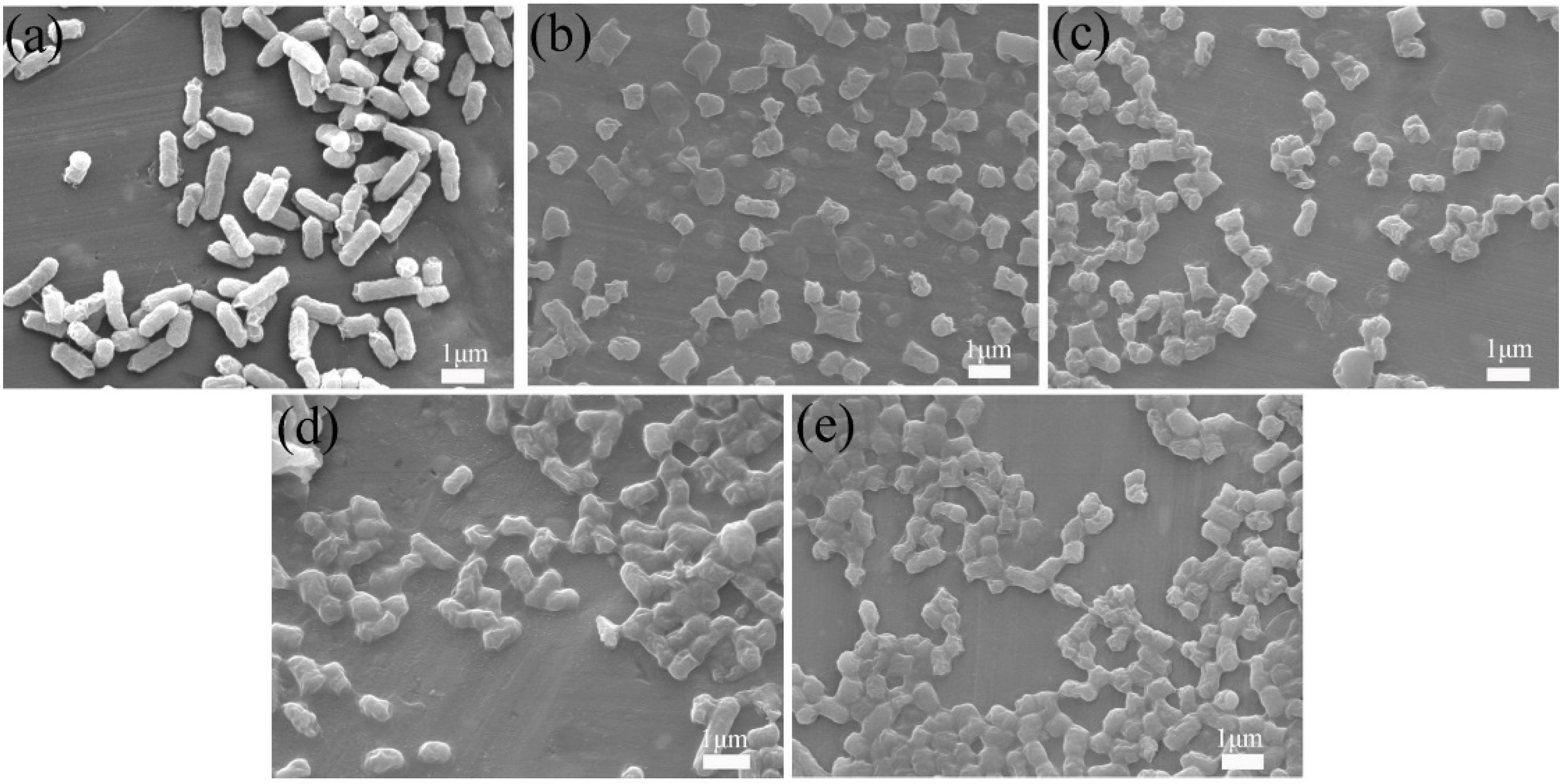 Nanomaterials 12 03901 g009