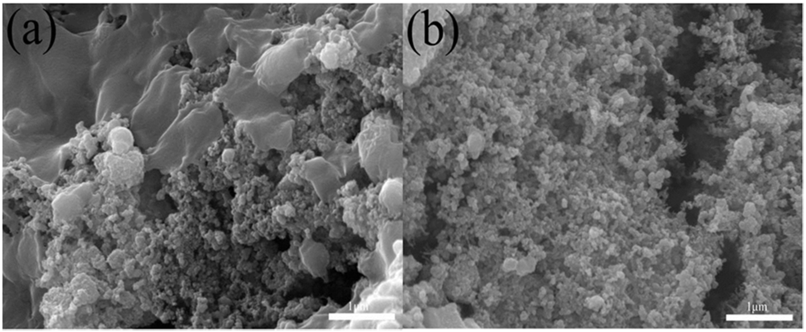 Nanomaterials 12 03901 g011