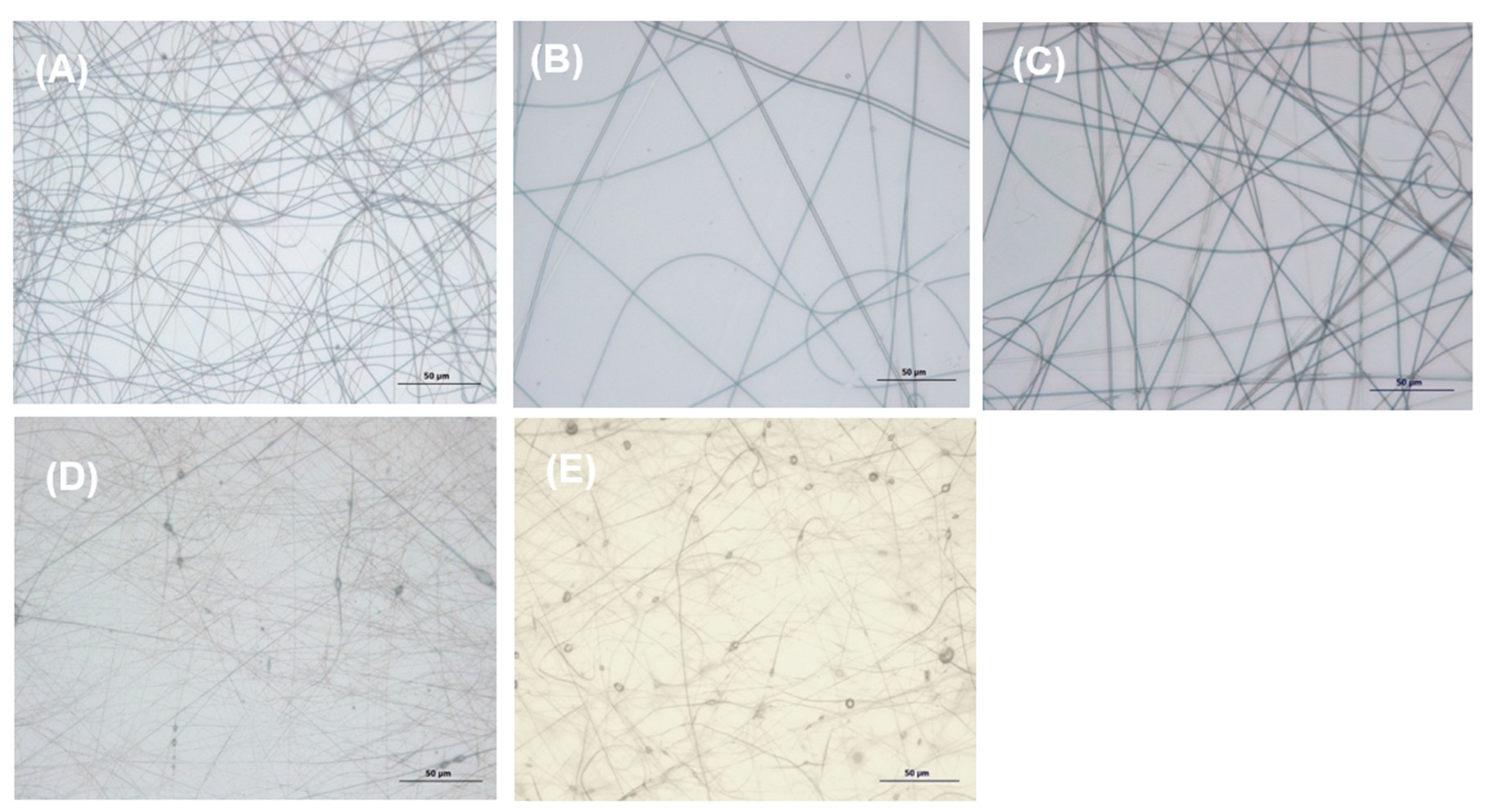 Nanomaterials 12 03903 g004