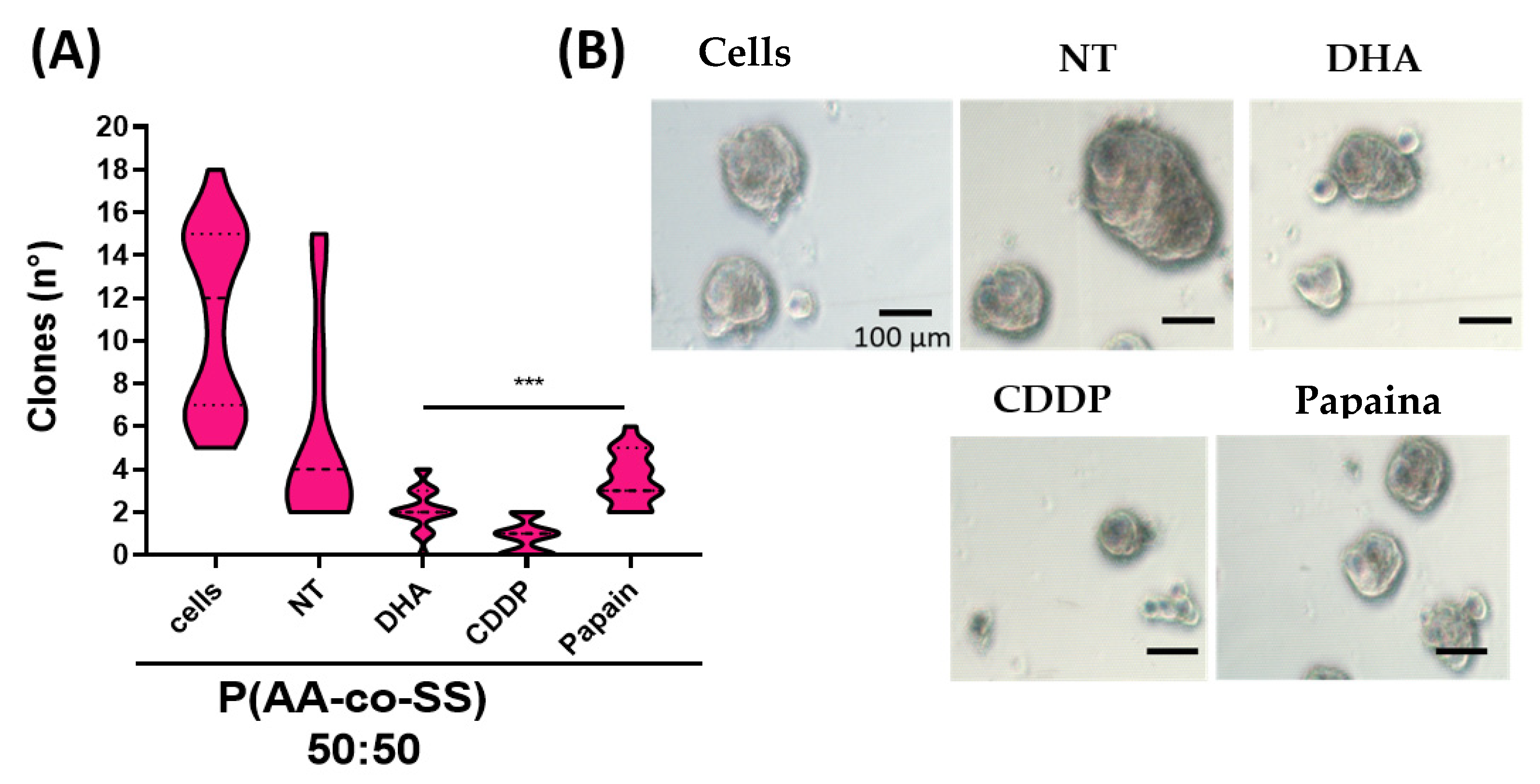 Nanomaterials 12 03903 g010