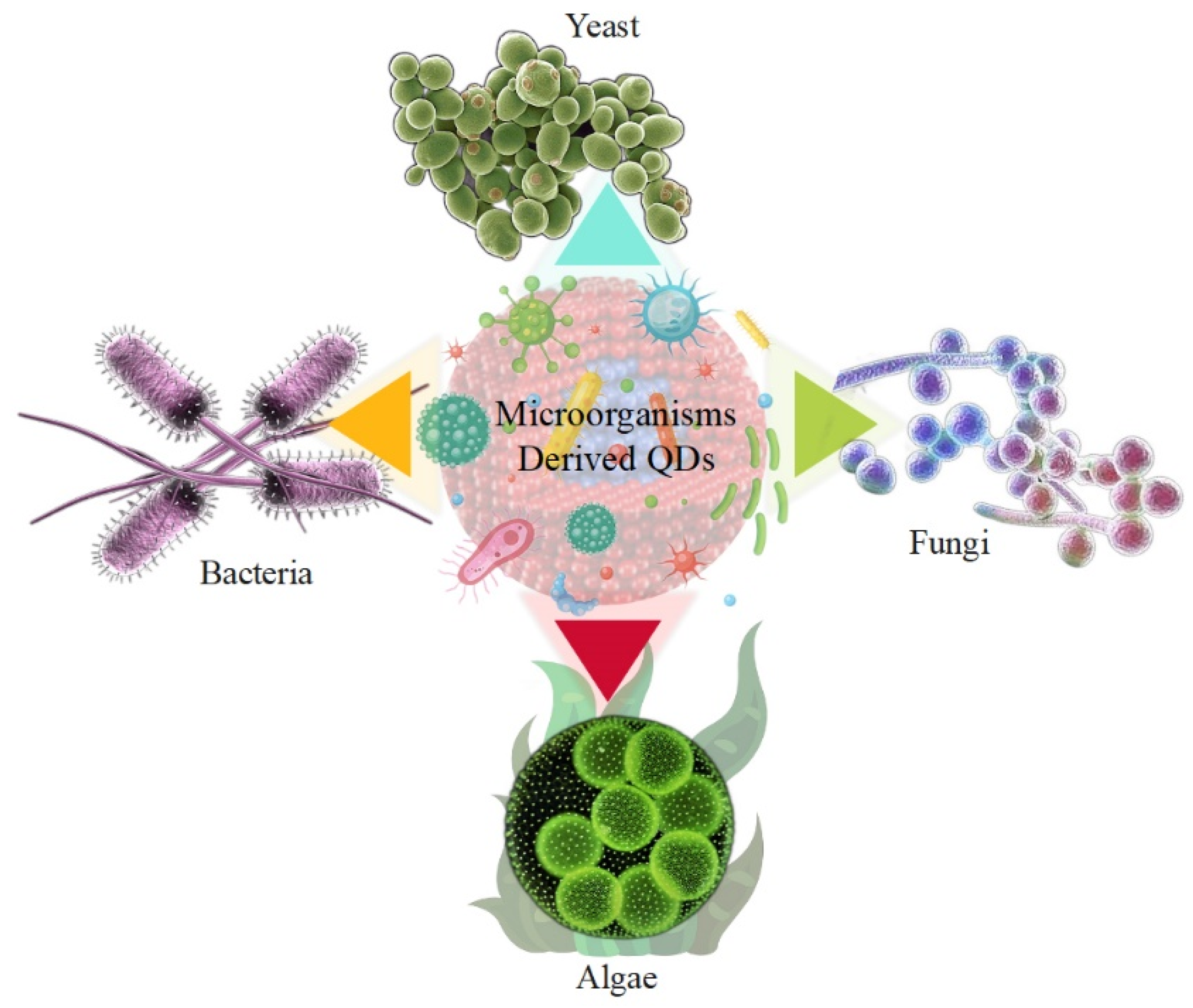 Nanomaterials 12 03905 g001