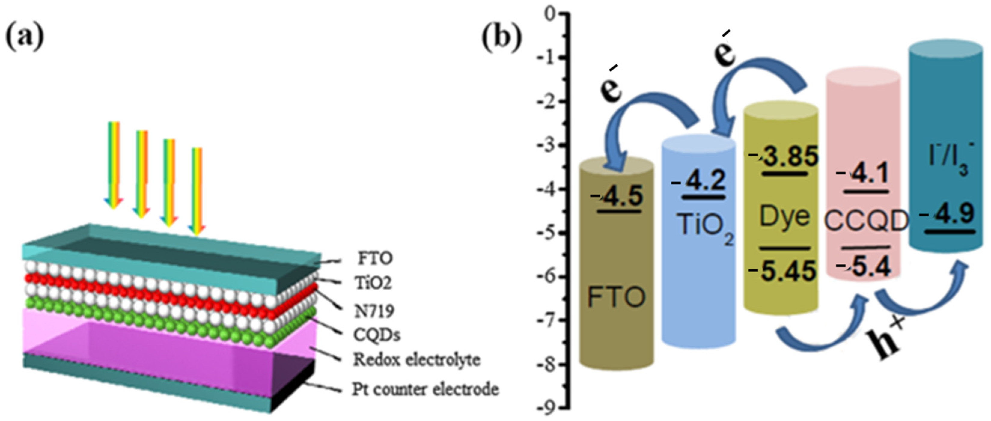 Nanomaterials 12 03905 g005