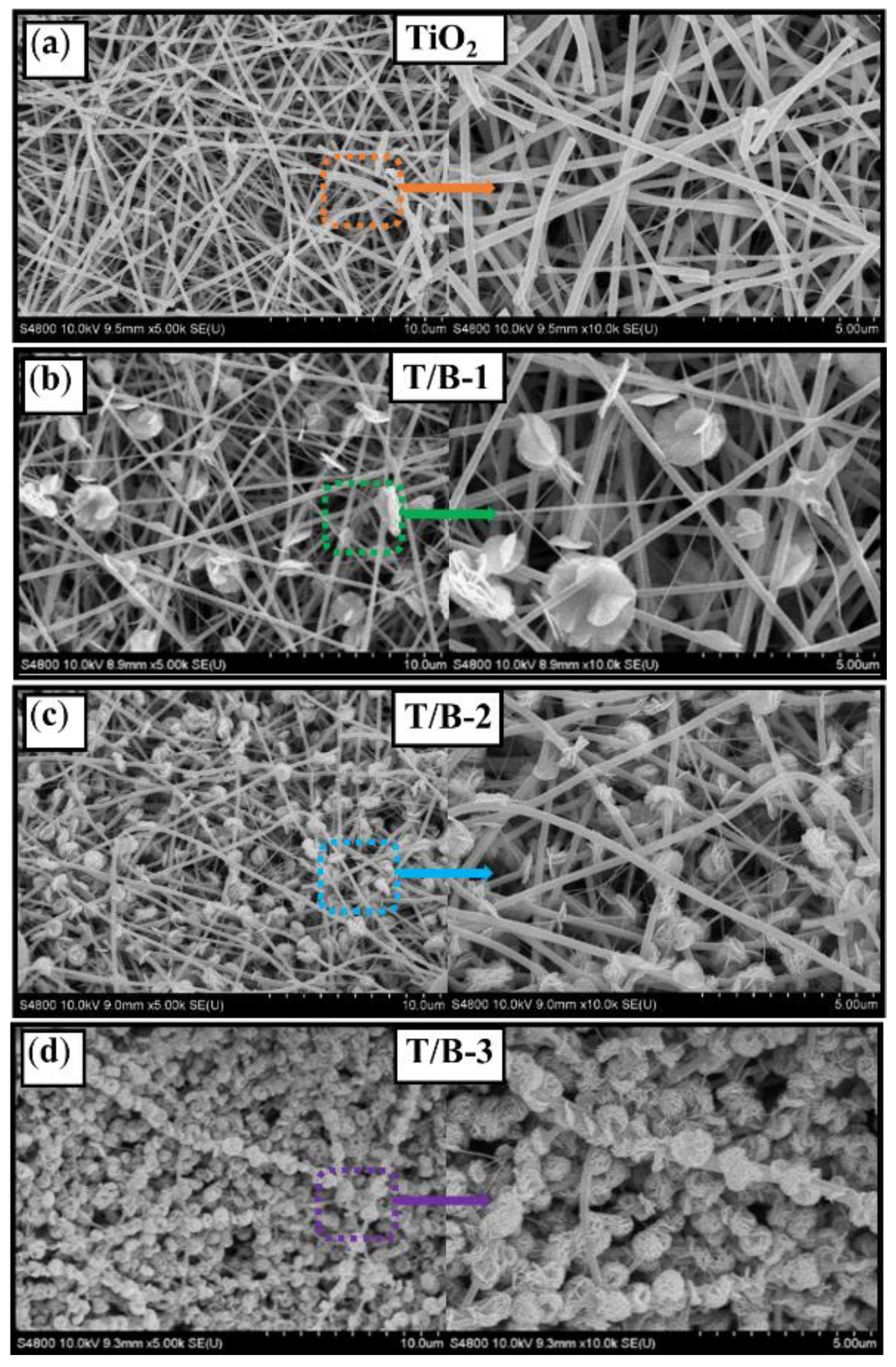 Nanomaterials 12 03906 g002