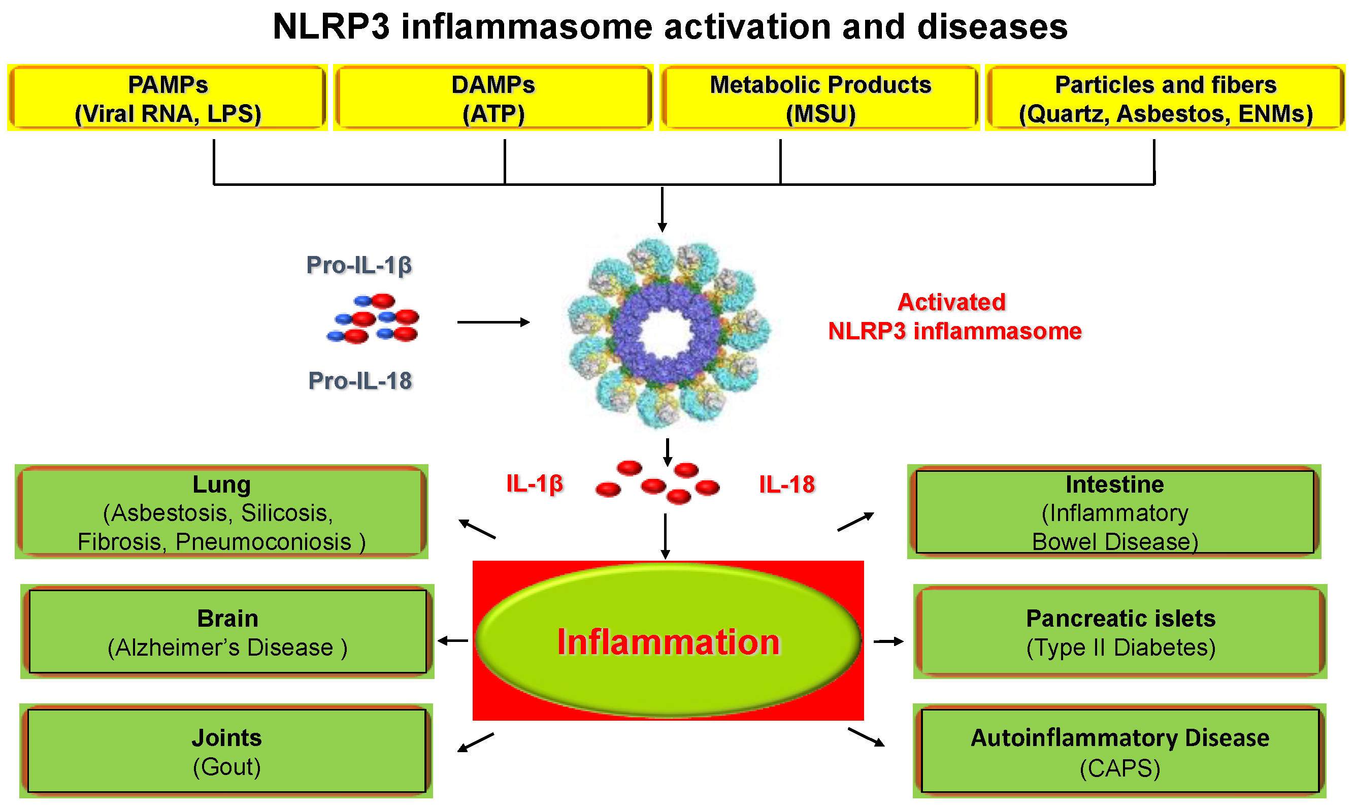 Nanomaterials 12 03908 g001