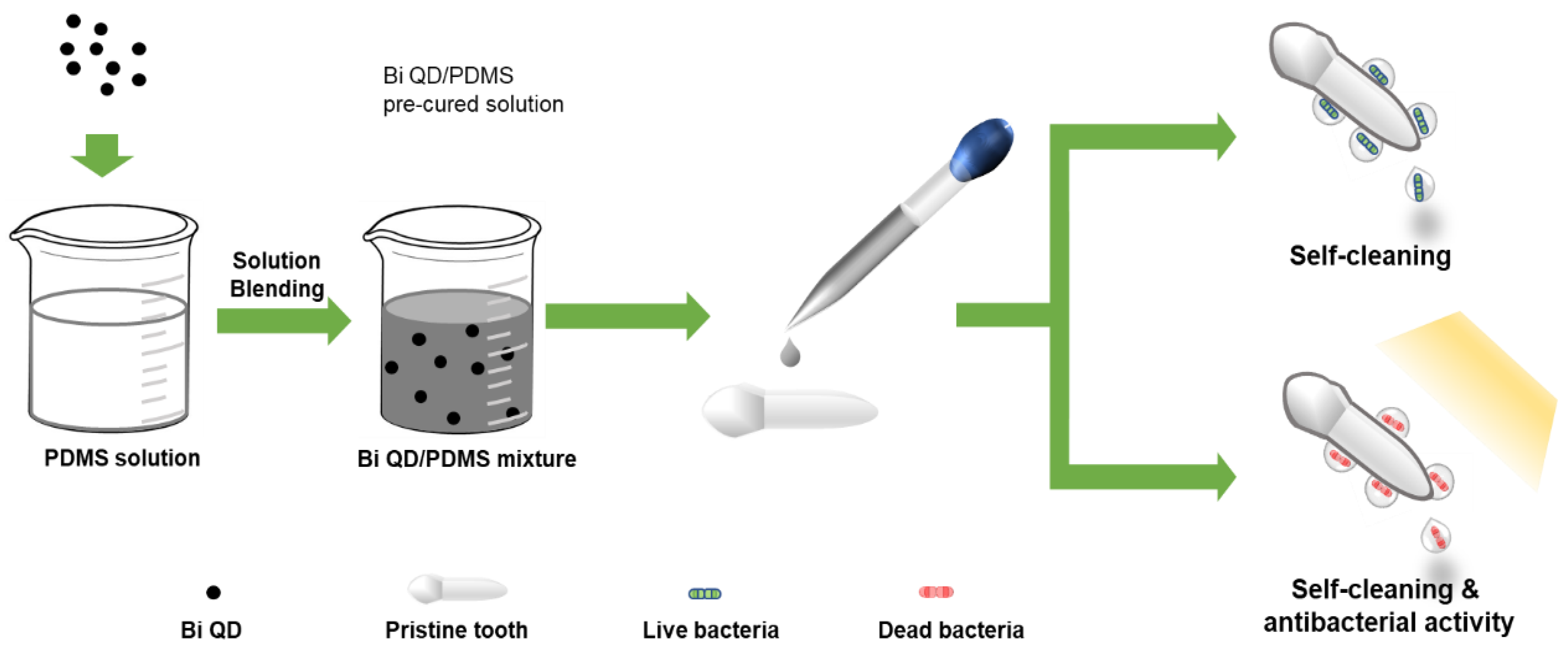 Nanomaterials 12 03911 g001