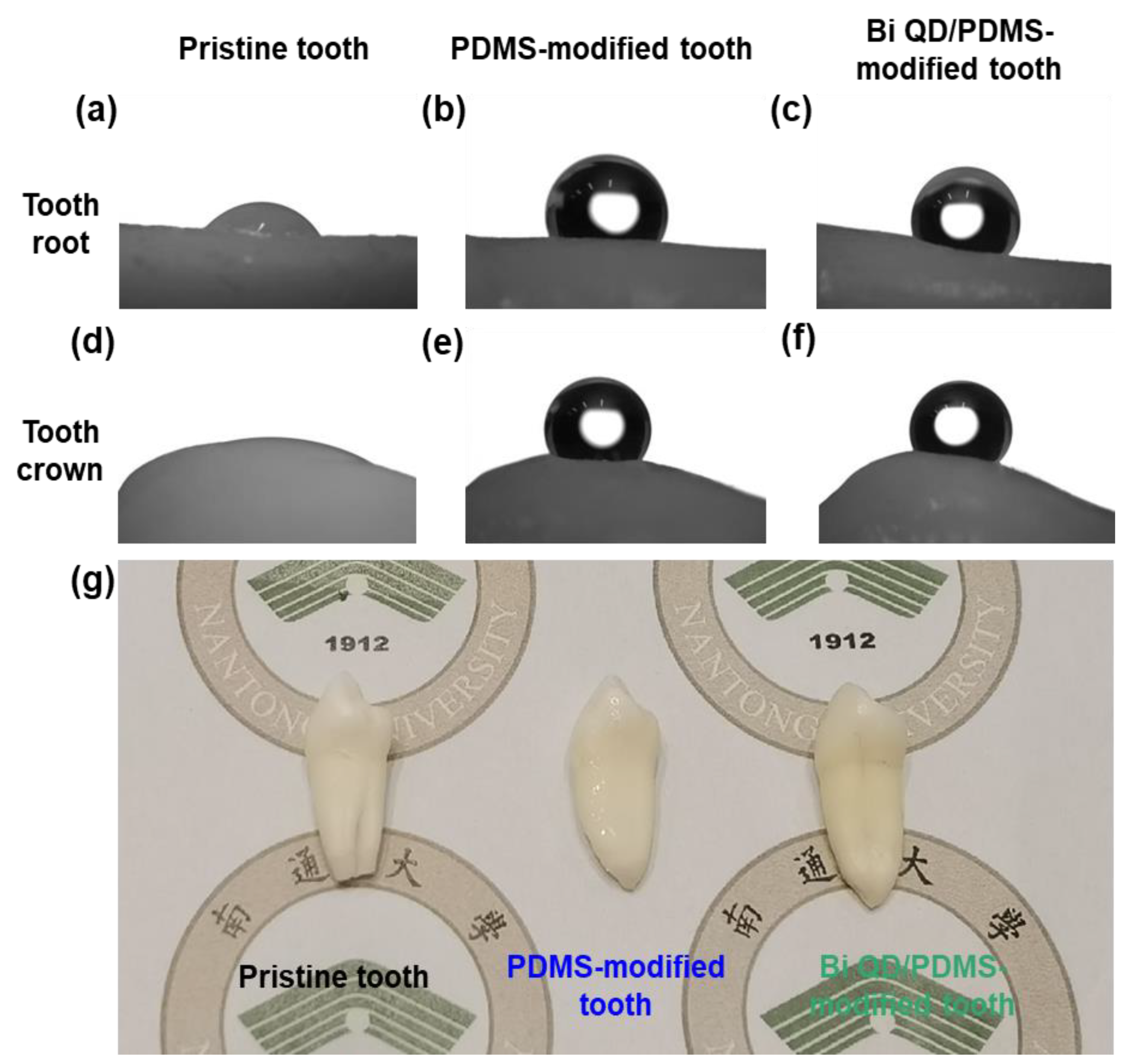 Nanomaterials 12 03911 g003