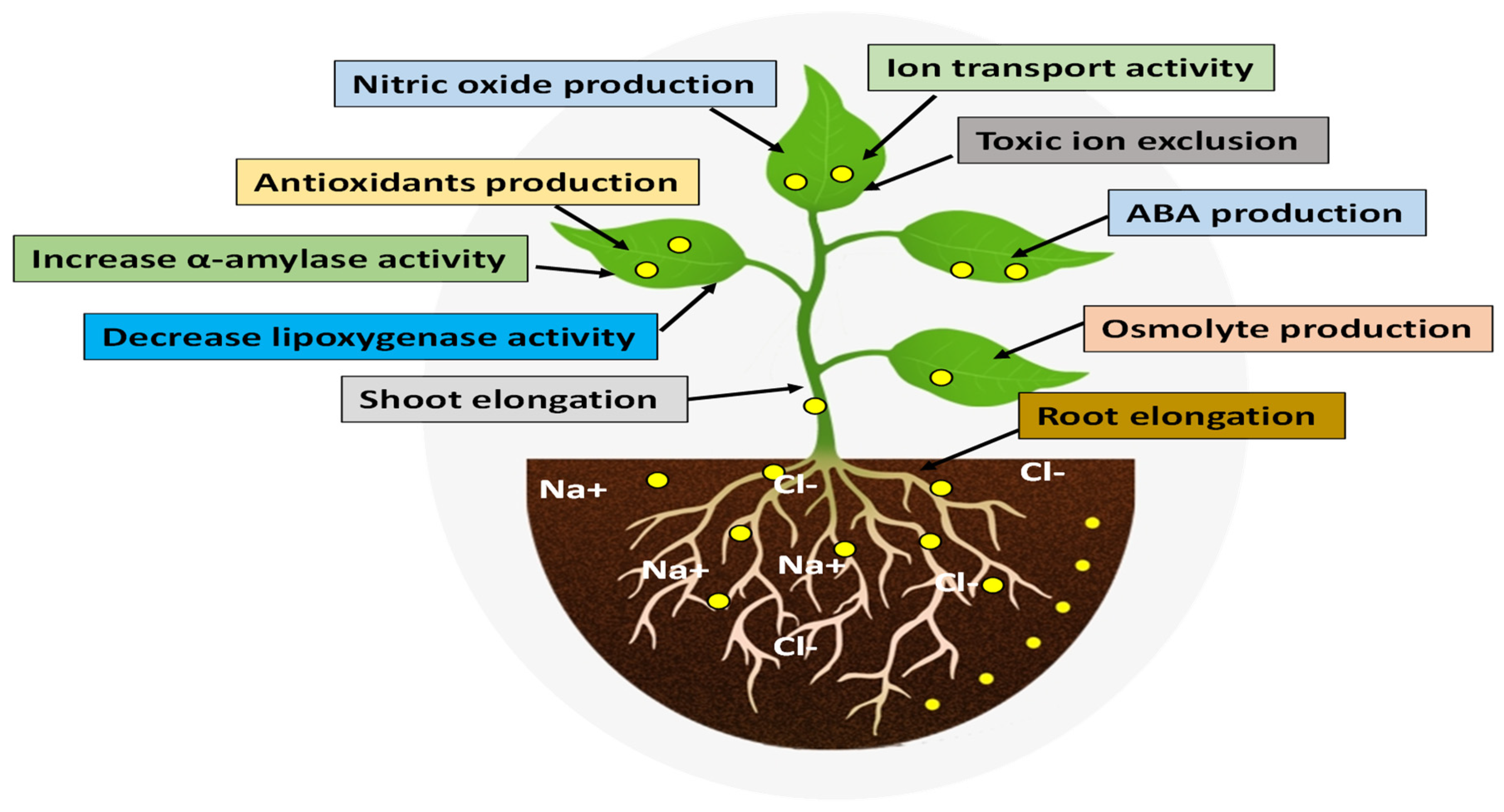 Nanomaterials 12 03915 g003