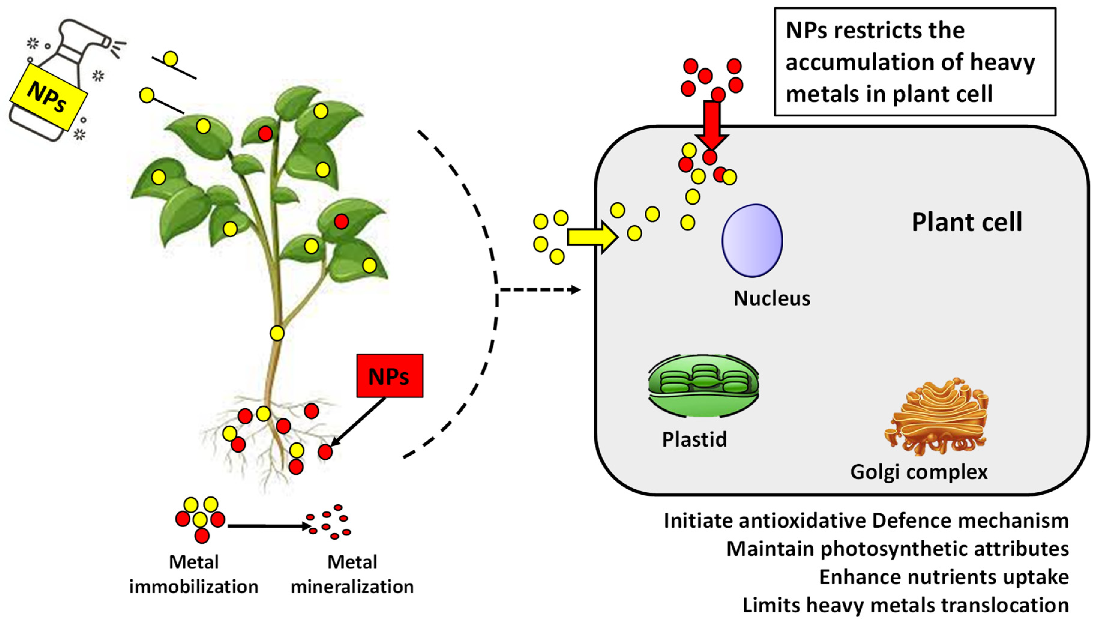 Nanomaterials 12 03915 g004
