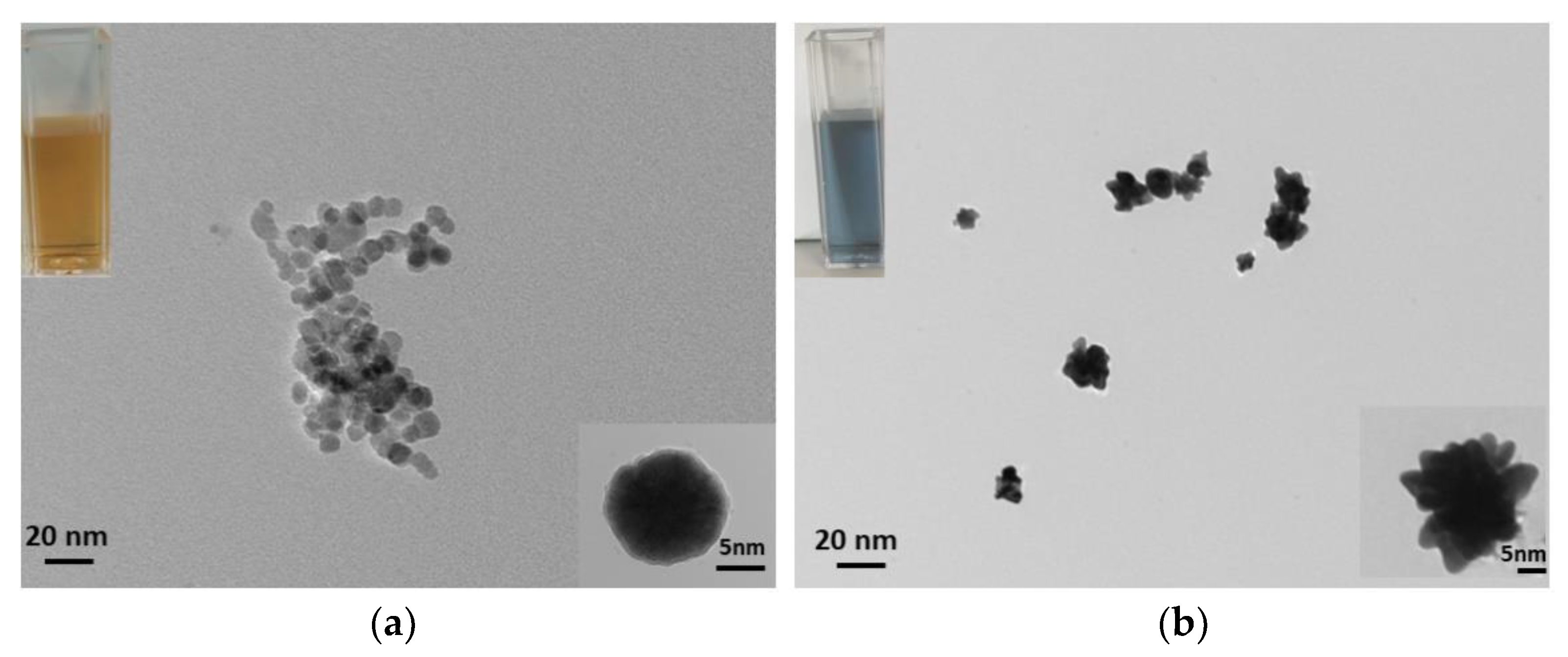 Nanomaterials 12 03917 g003