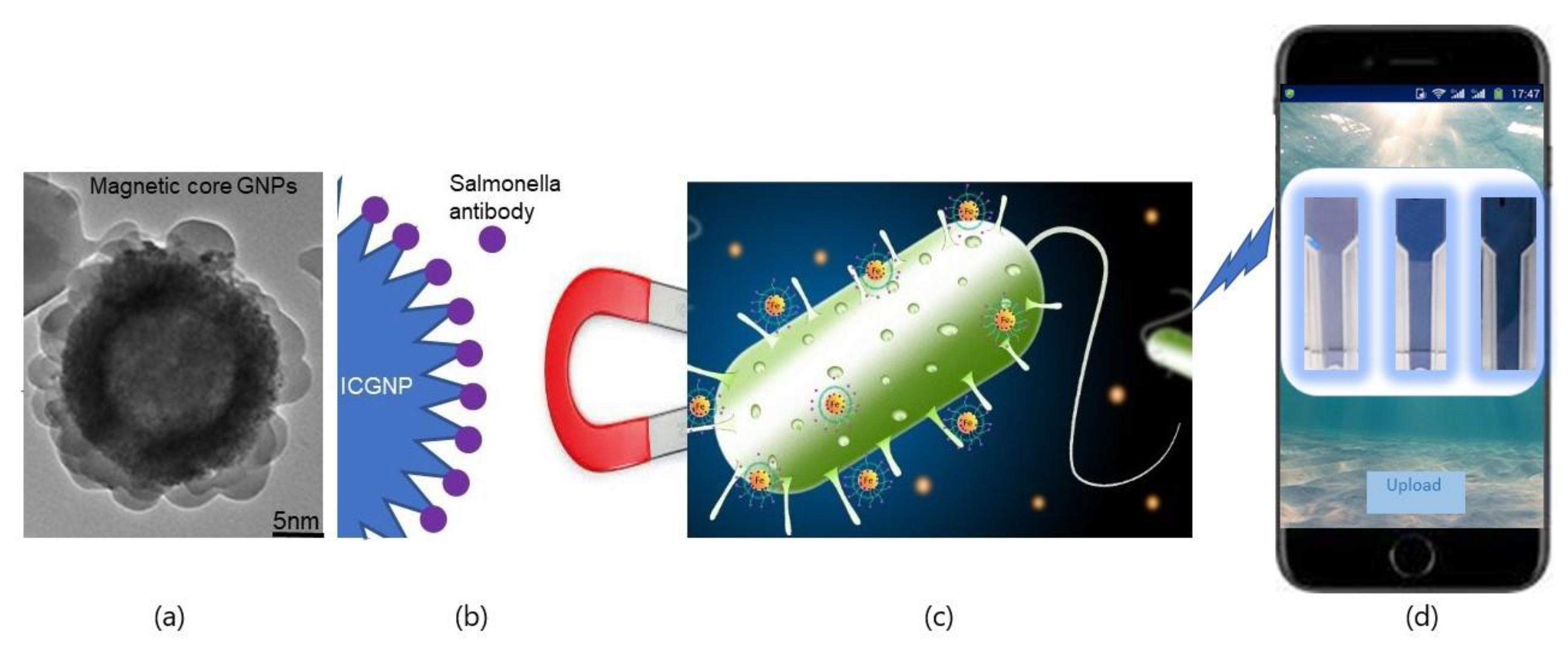 Nanomaterials 12 03917 g007