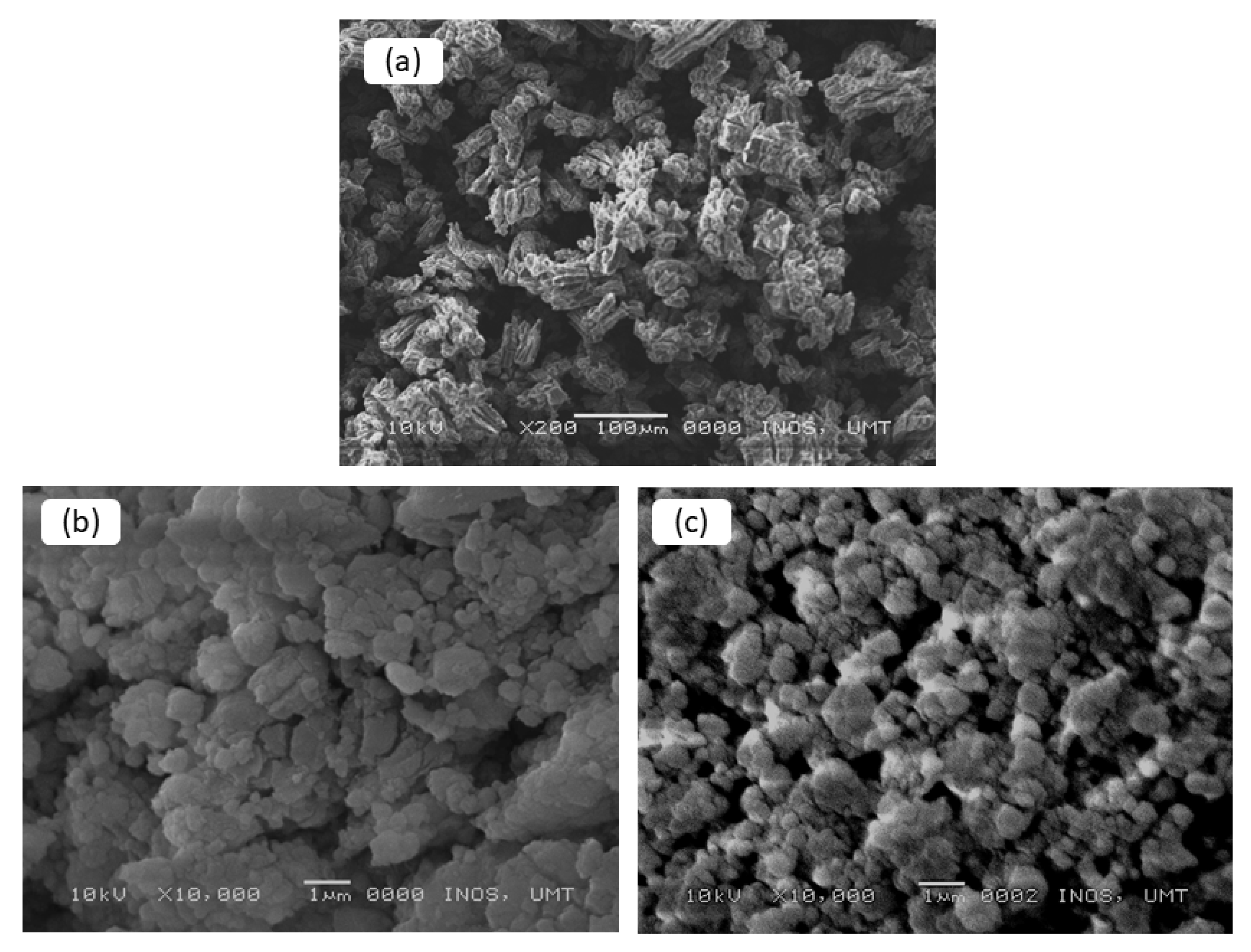 Nanomaterials 12 03921 g006