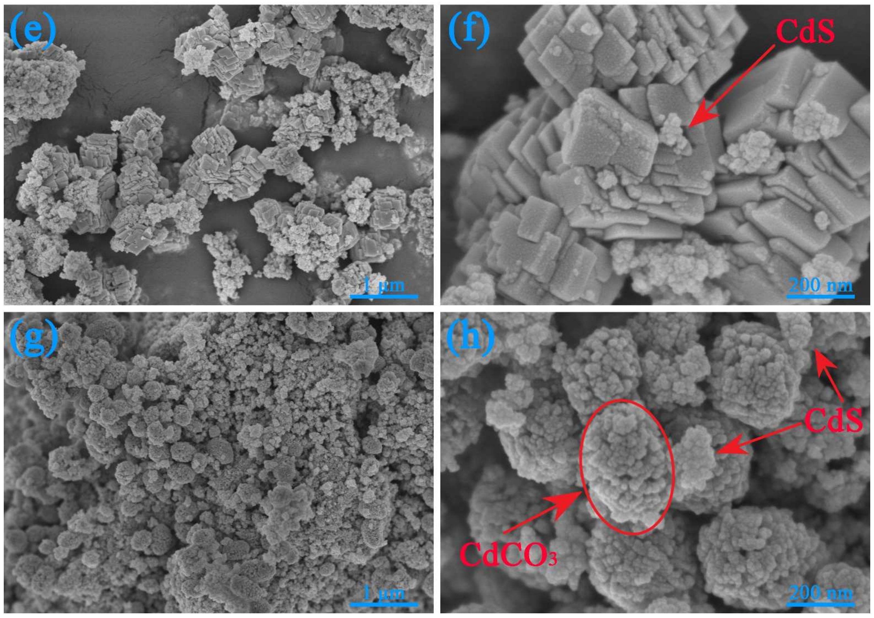 Nanomaterials 12 03923 g002b