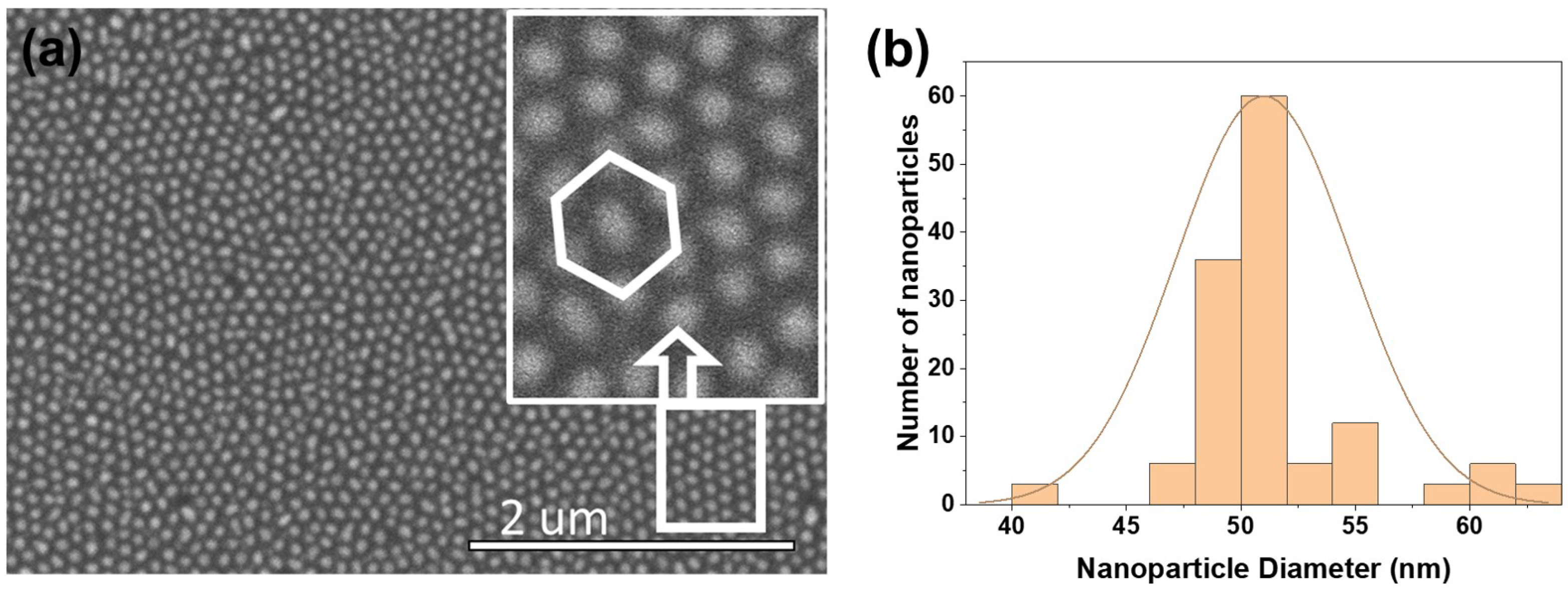 Nanomaterials 12 03929 g005 Nanomaterials 12 03929 g005