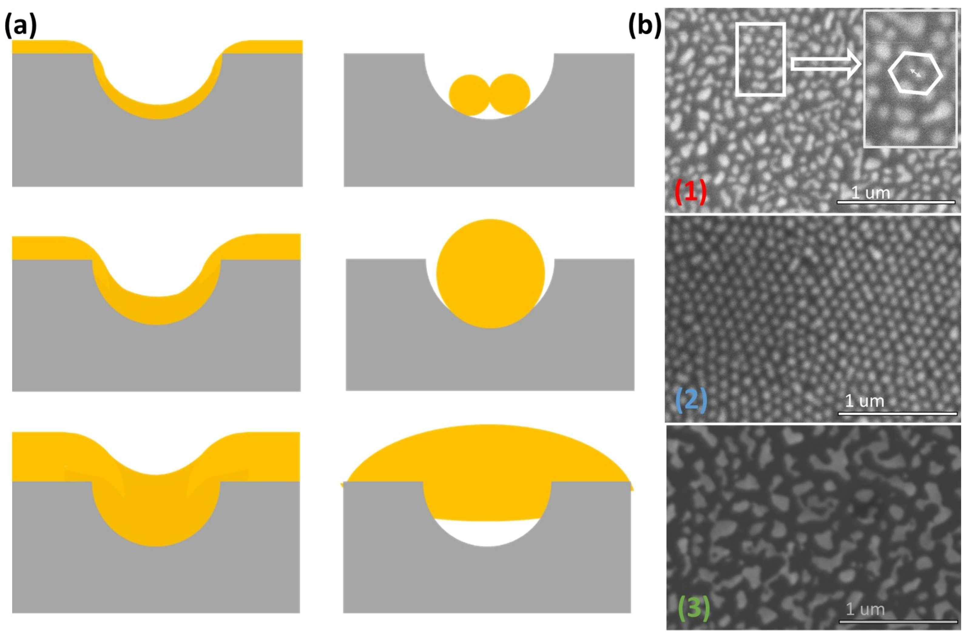 Nanomaterials 12 03929 g009 Nanomaterials 12 03929 g009