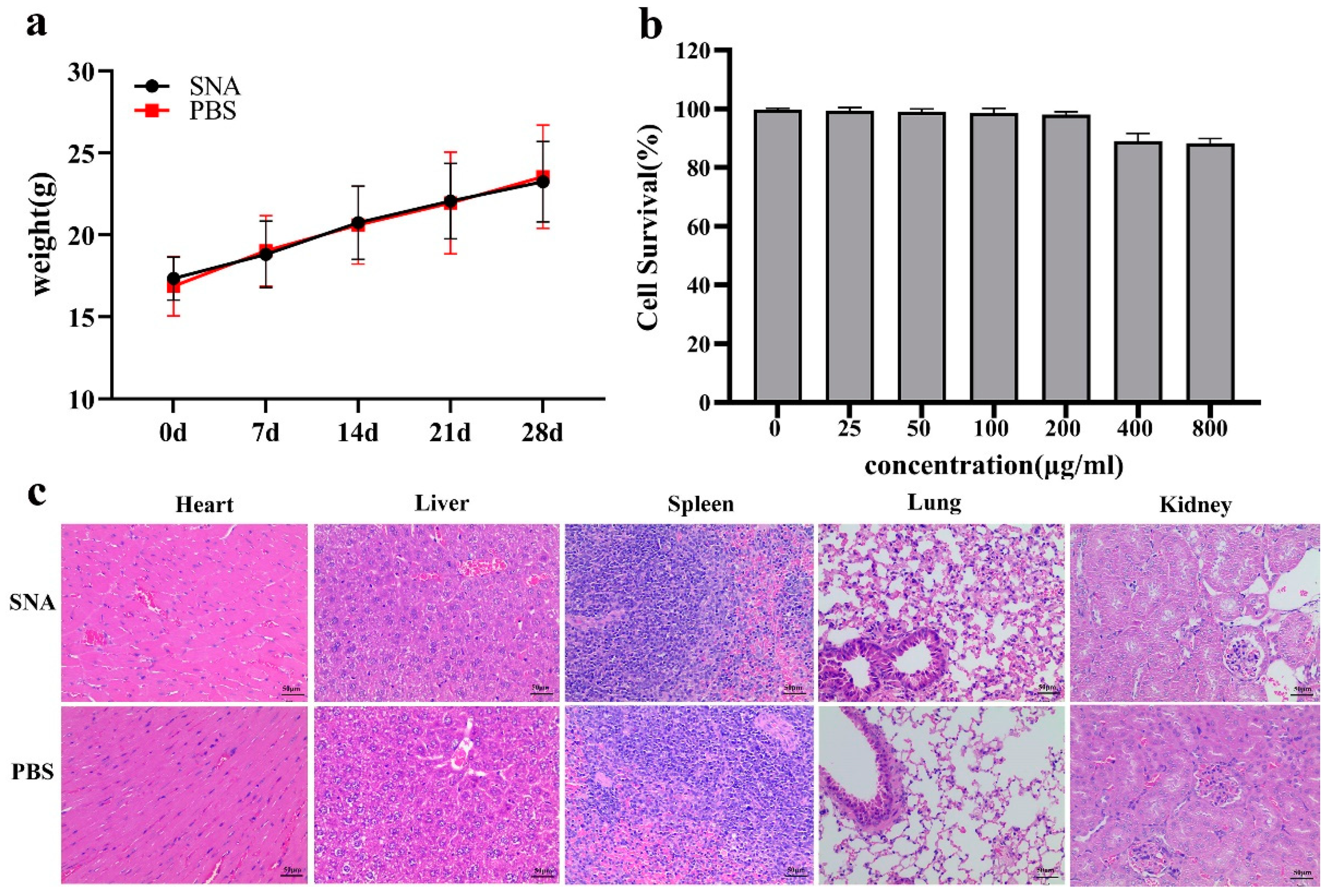 Nanomaterials 12 03934 g005 Nanomaterials 12 03934 g005