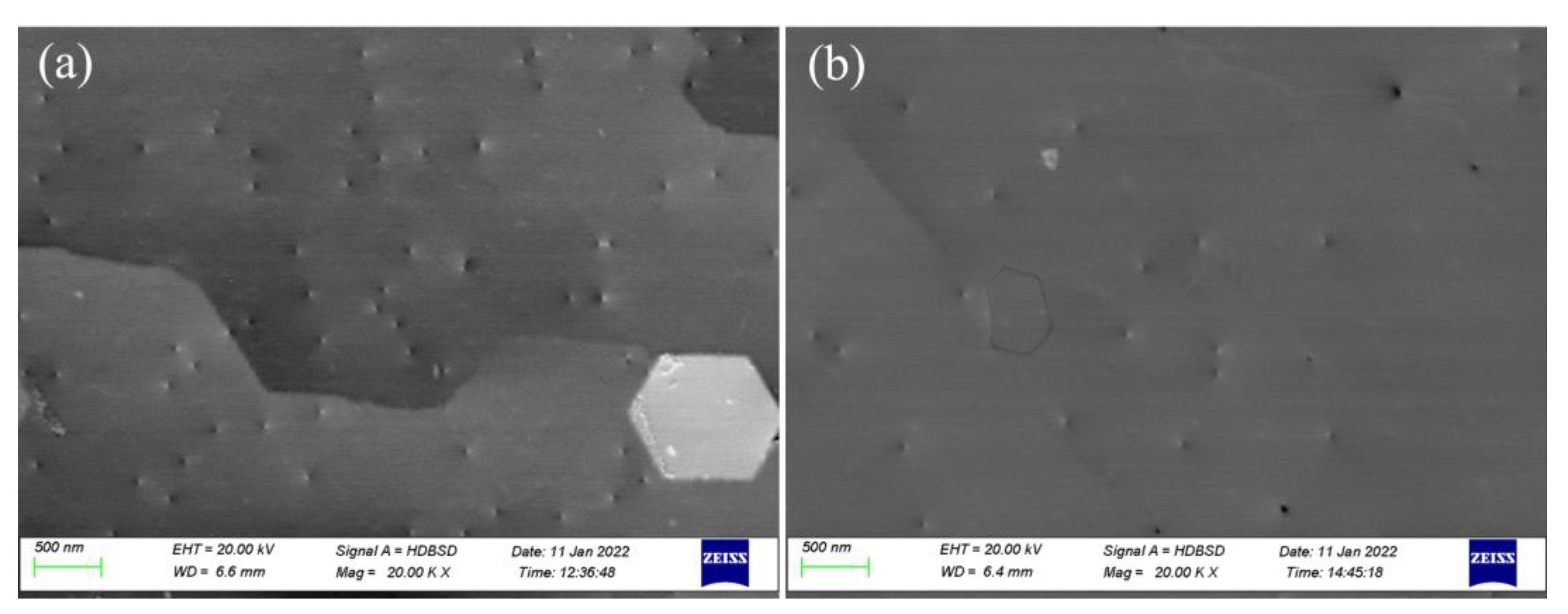 Nanomaterials 12 03937 g007