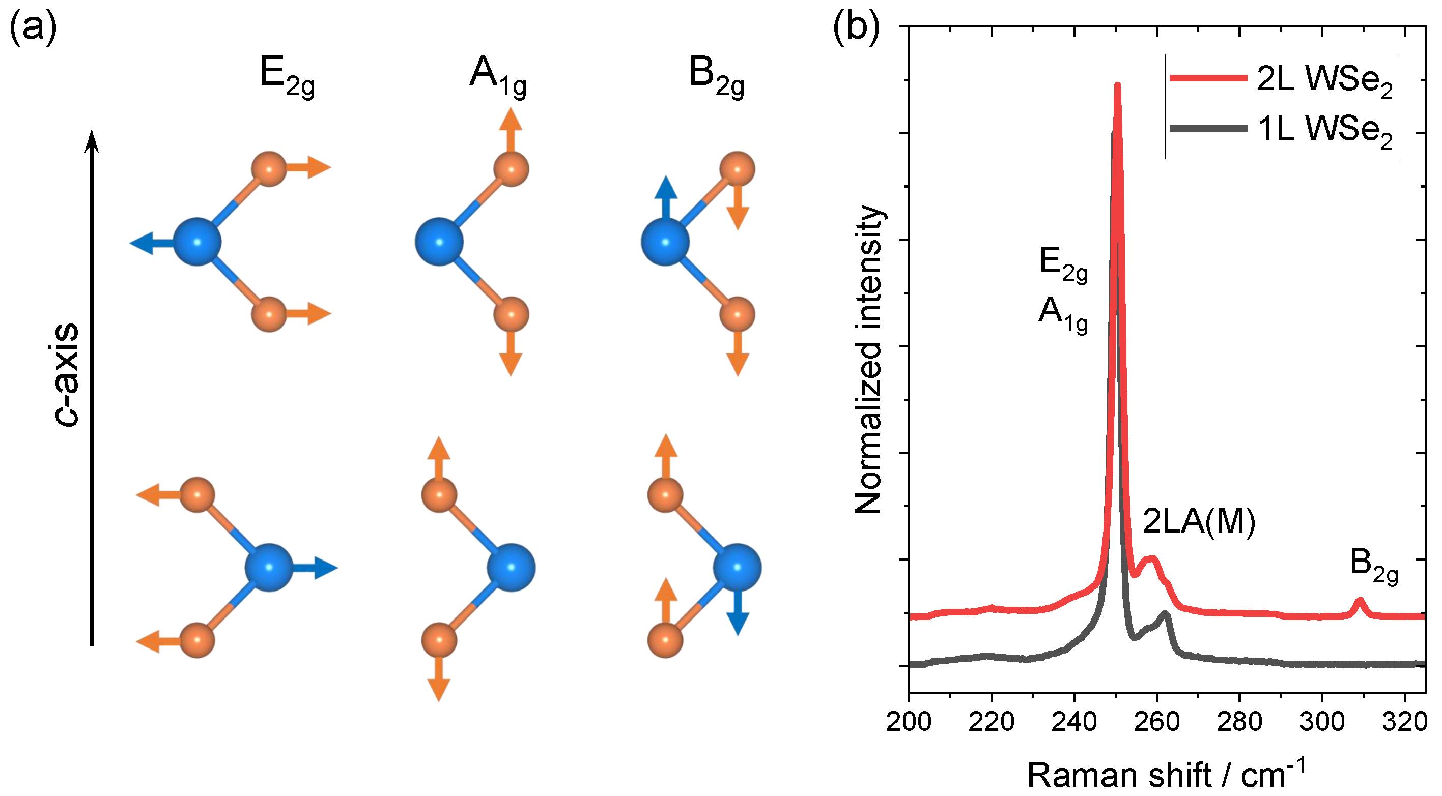 Nanomaterials 12 03949 g001 Nanomaterials 12 03949 g001