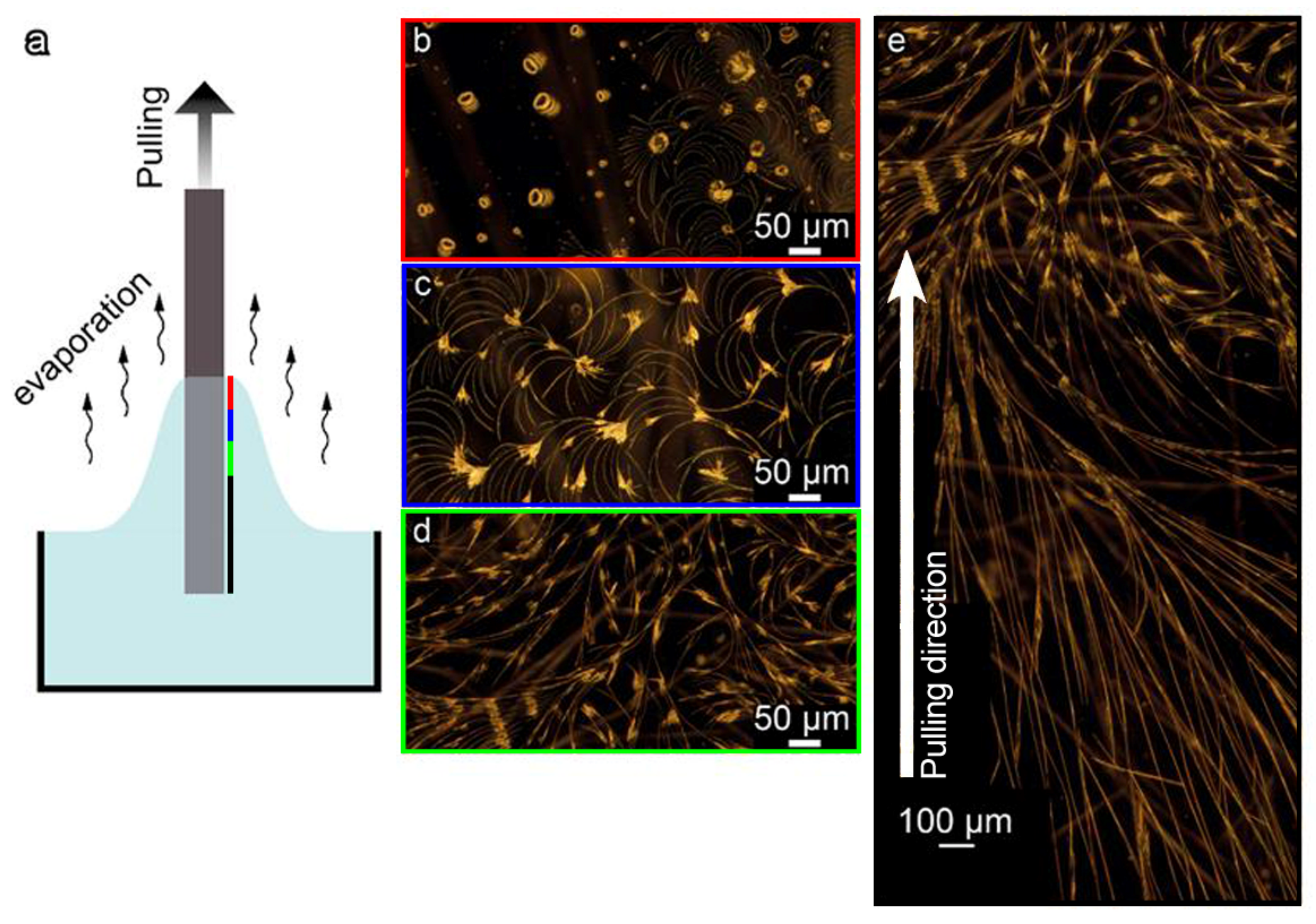 Nanomaterials 12 03955 g001