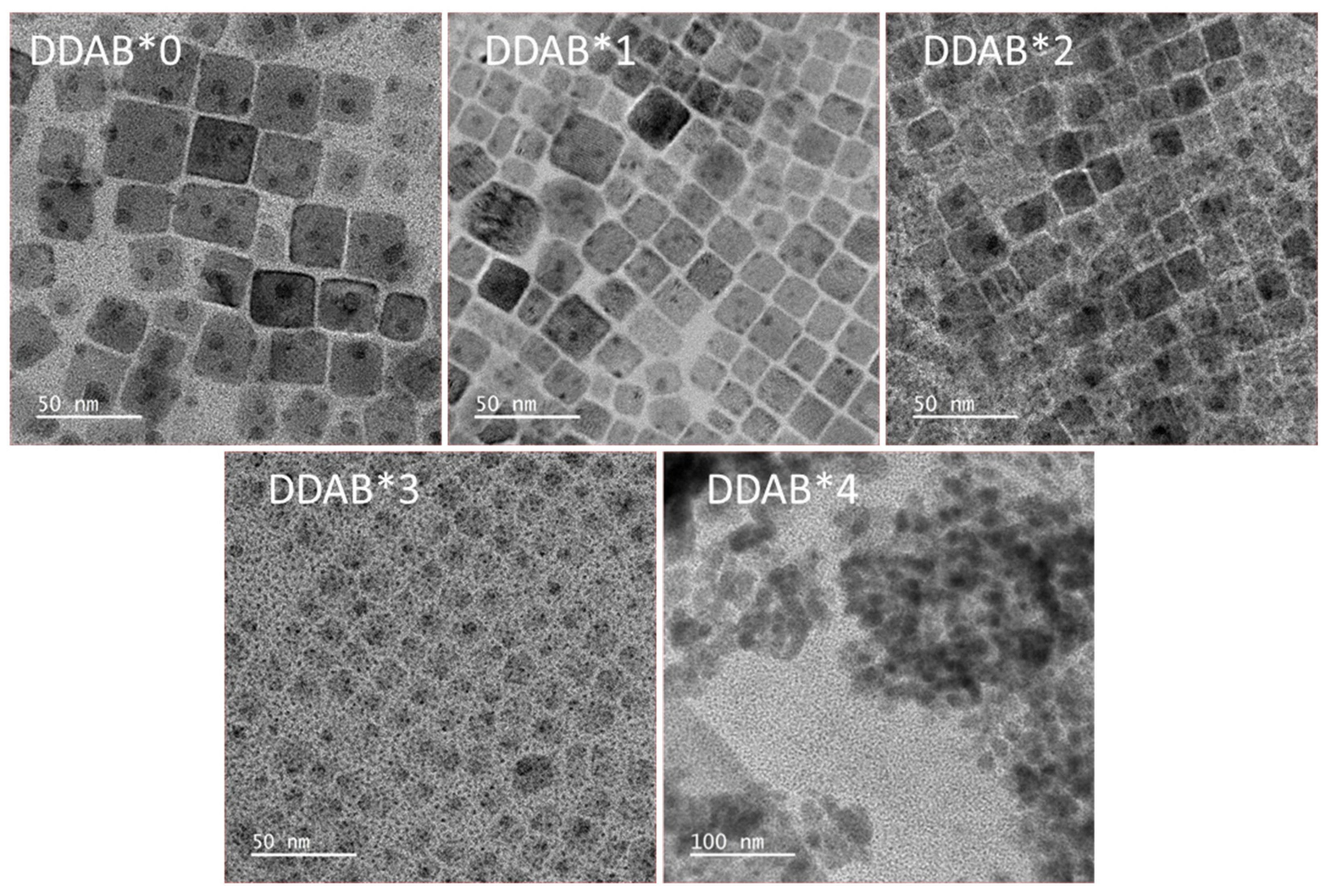 Nanomaterials 12 03957 g002 Nanomaterials 12 03957 g002