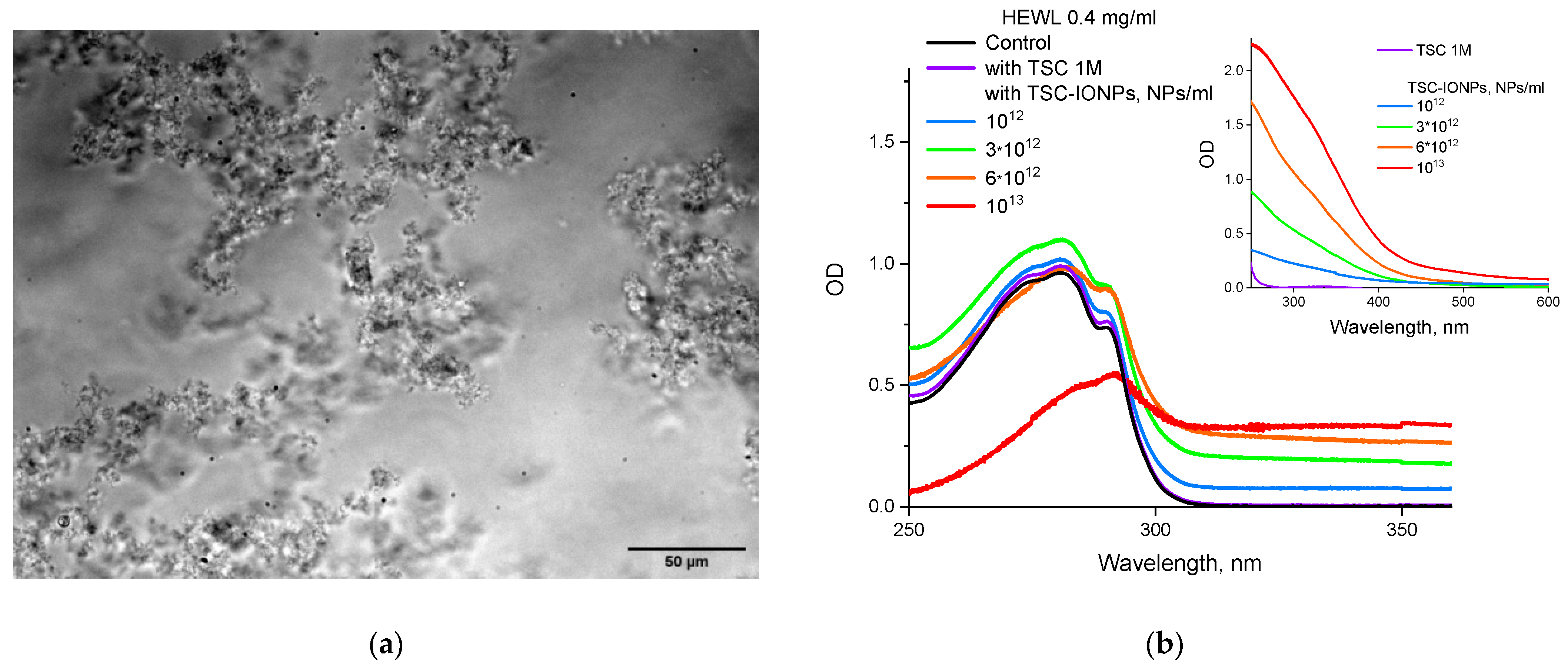 Nanomaterials 12 03960 g004