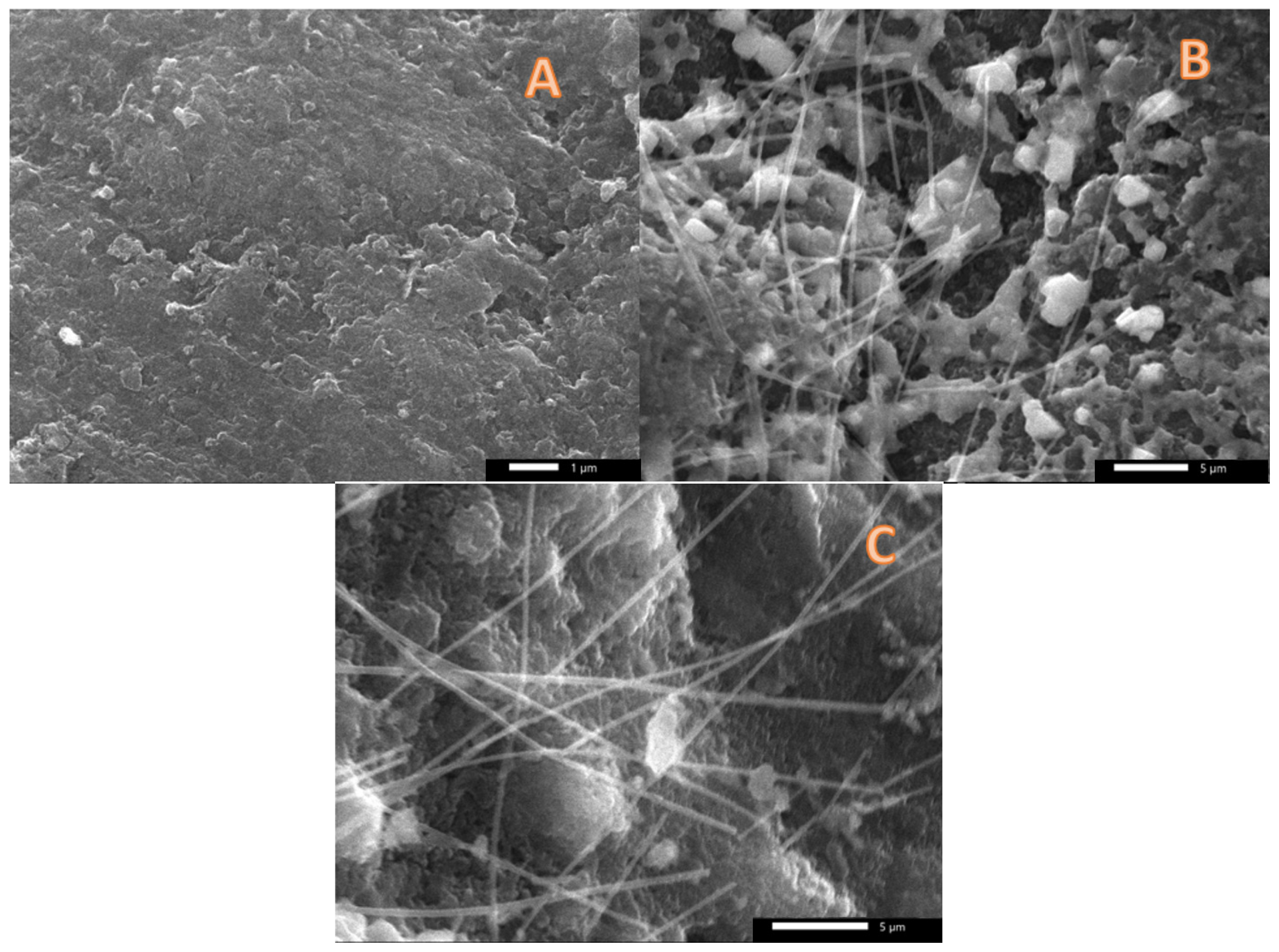 Nanomaterials 12 03961 g004 Nanomaterials 12 03961 g004