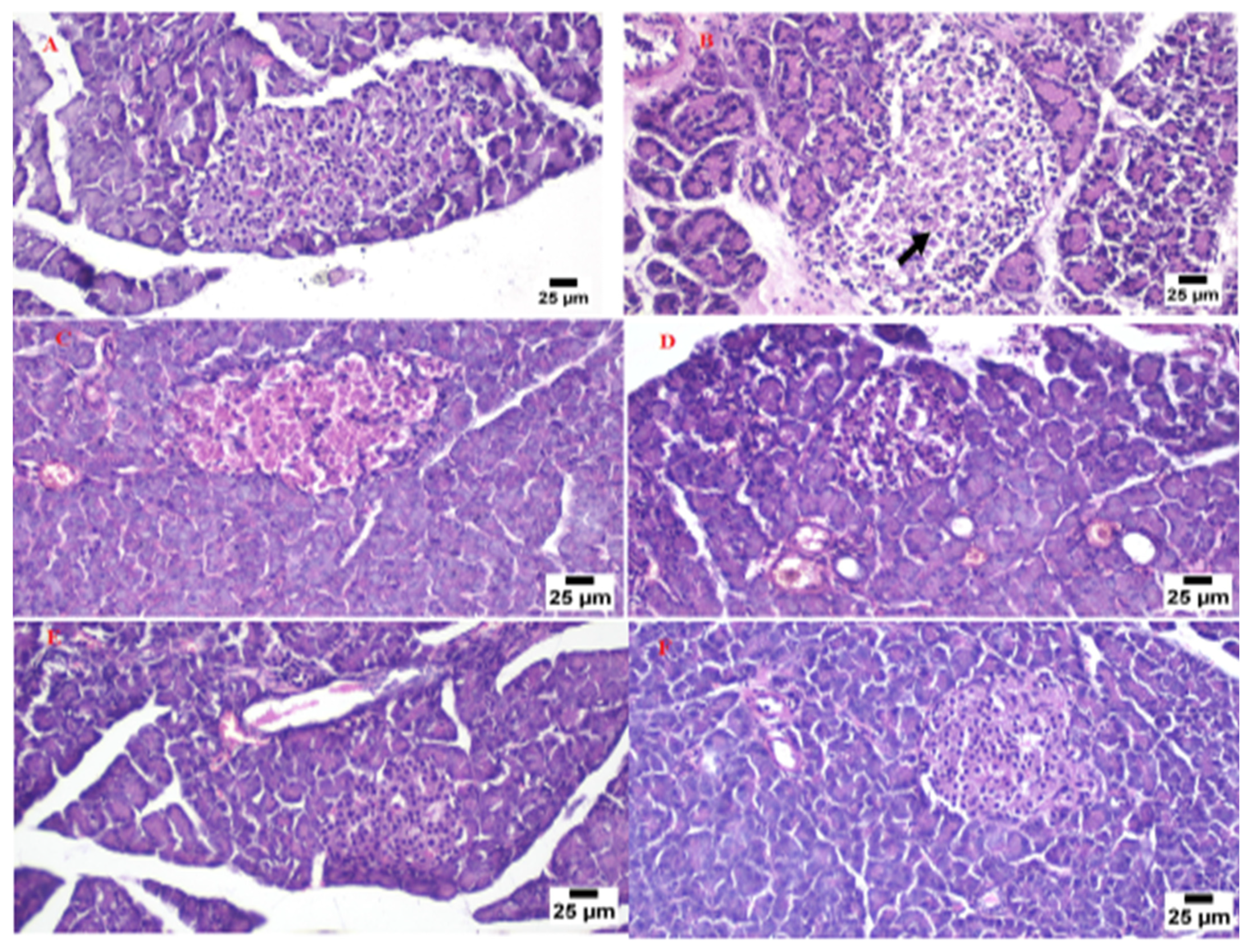 Nanomaterials 12 03966 g011