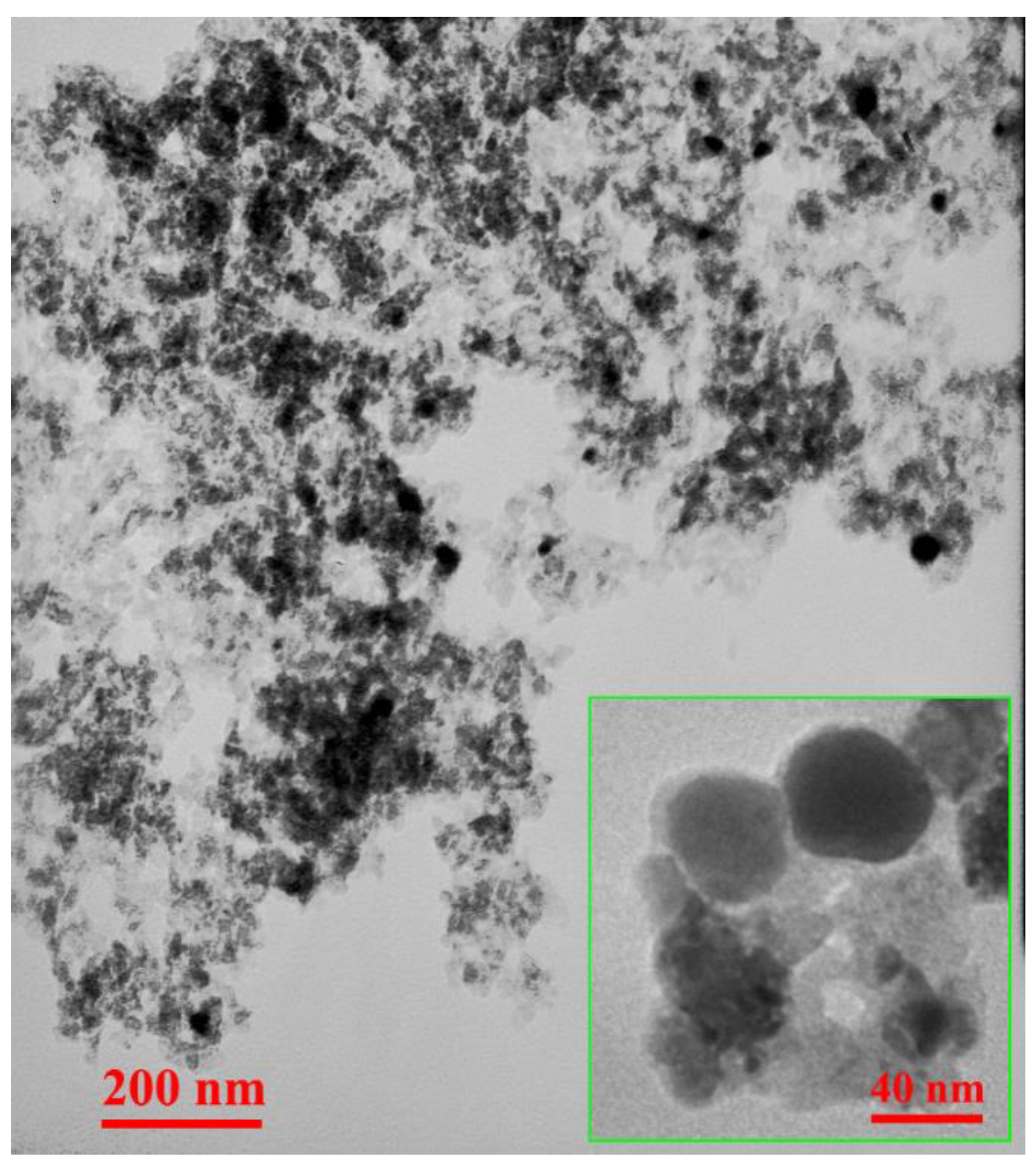 Nanomaterials 12 03978 g005